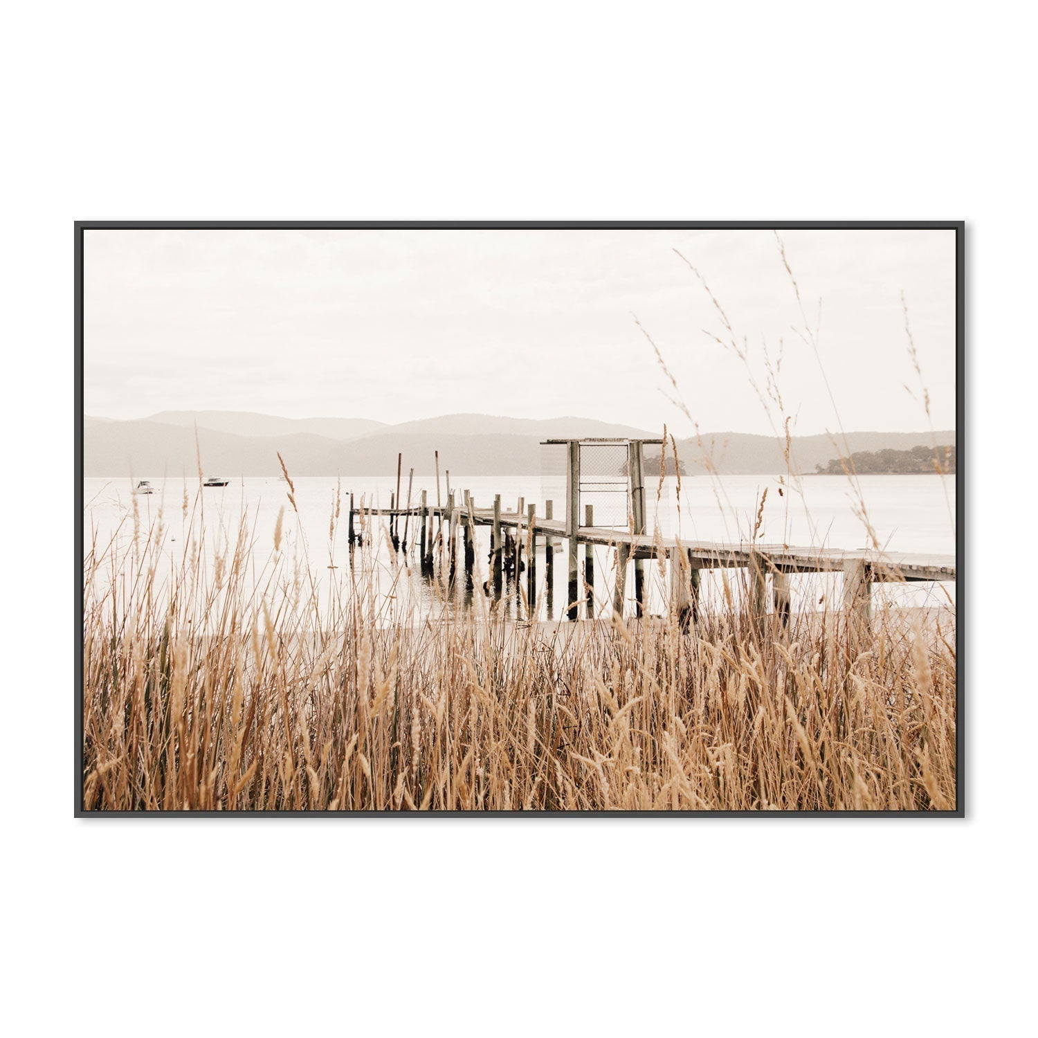 wall-art-print-canvas-poster-framed-Reeds, Port Arthur, Tasmania , By Earth Sea & Me , By Earth Sea & Me-GIOIA-WALL-ART