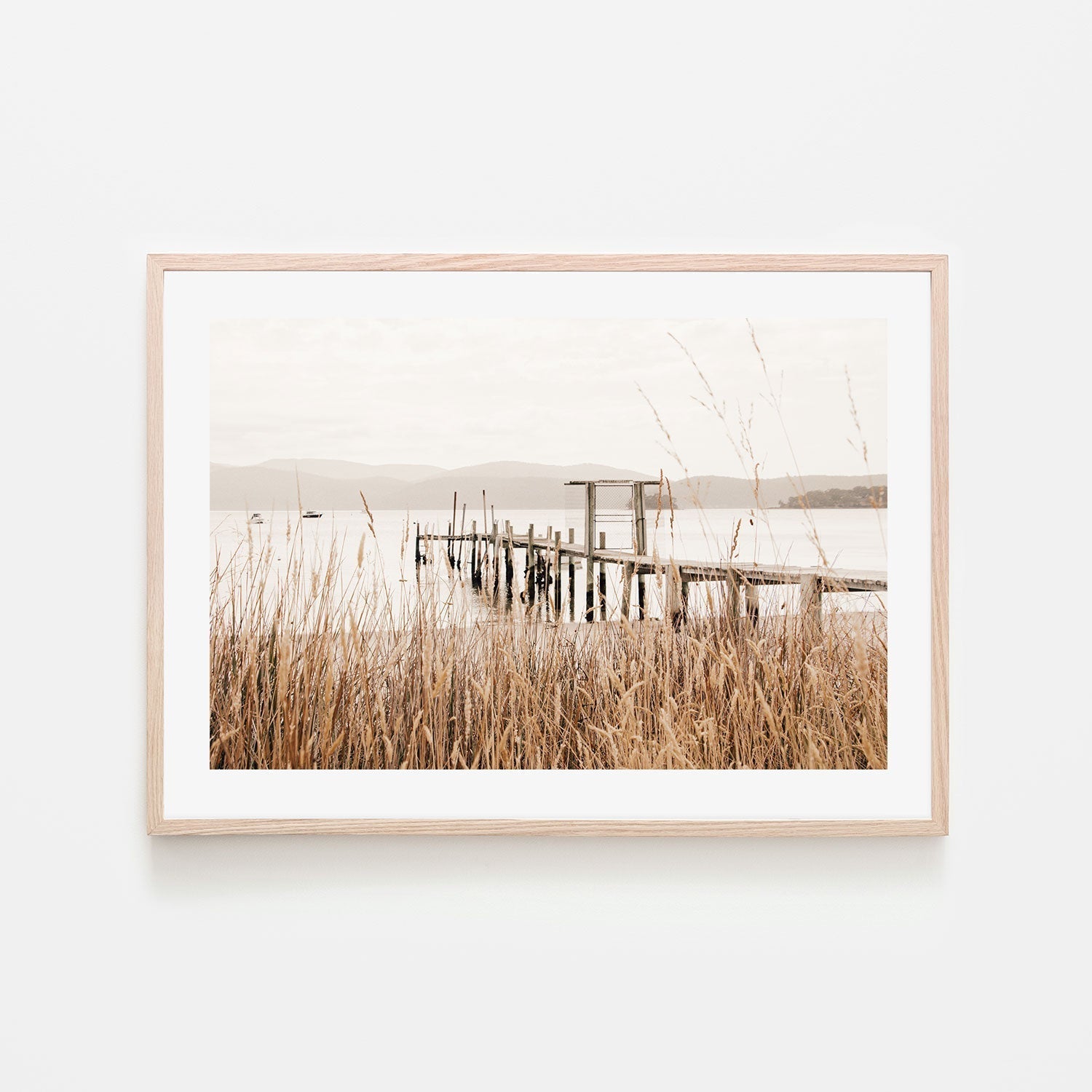 wall-art-print-canvas-poster-framed-Reeds, Port Arthur, Tasmania , By Earth Sea & Me , By Earth Sea & Me-GIOIA-WALL-ART