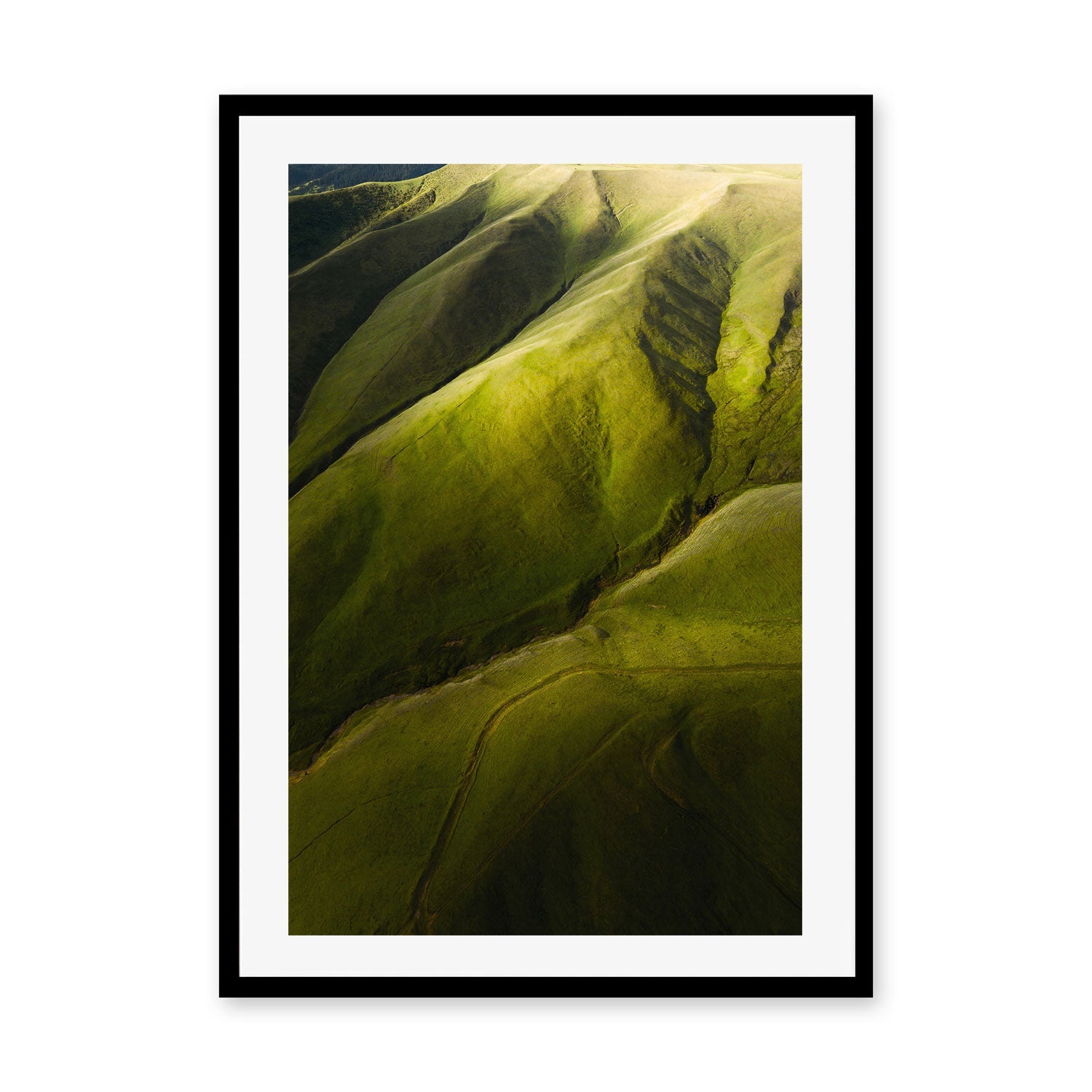 wall-art-print-canvas-poster-framed-Rolling Greens , By Max Lissendon-GIOIA-WALL-ART