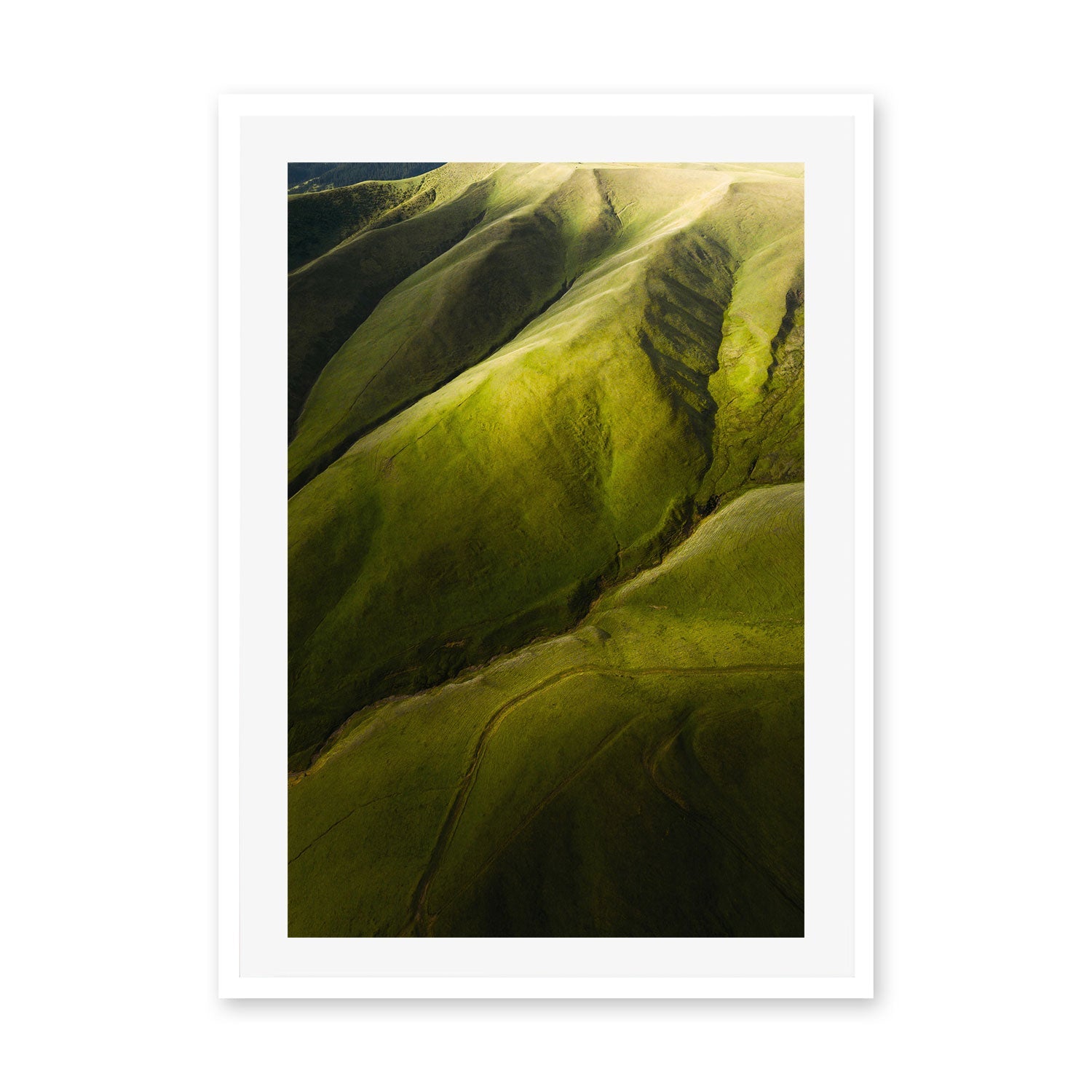 wall-art-print-canvas-poster-framed-Rolling Greens , By Max Lissendon-GIOIA-WALL-ART