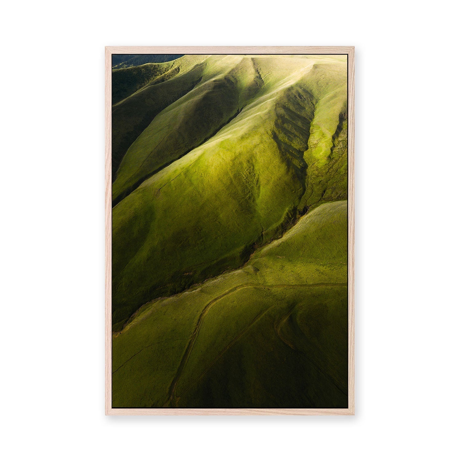 wall-art-print-canvas-poster-framed-Rolling Greens , By Max Lissendon-GIOIA-WALL-ART