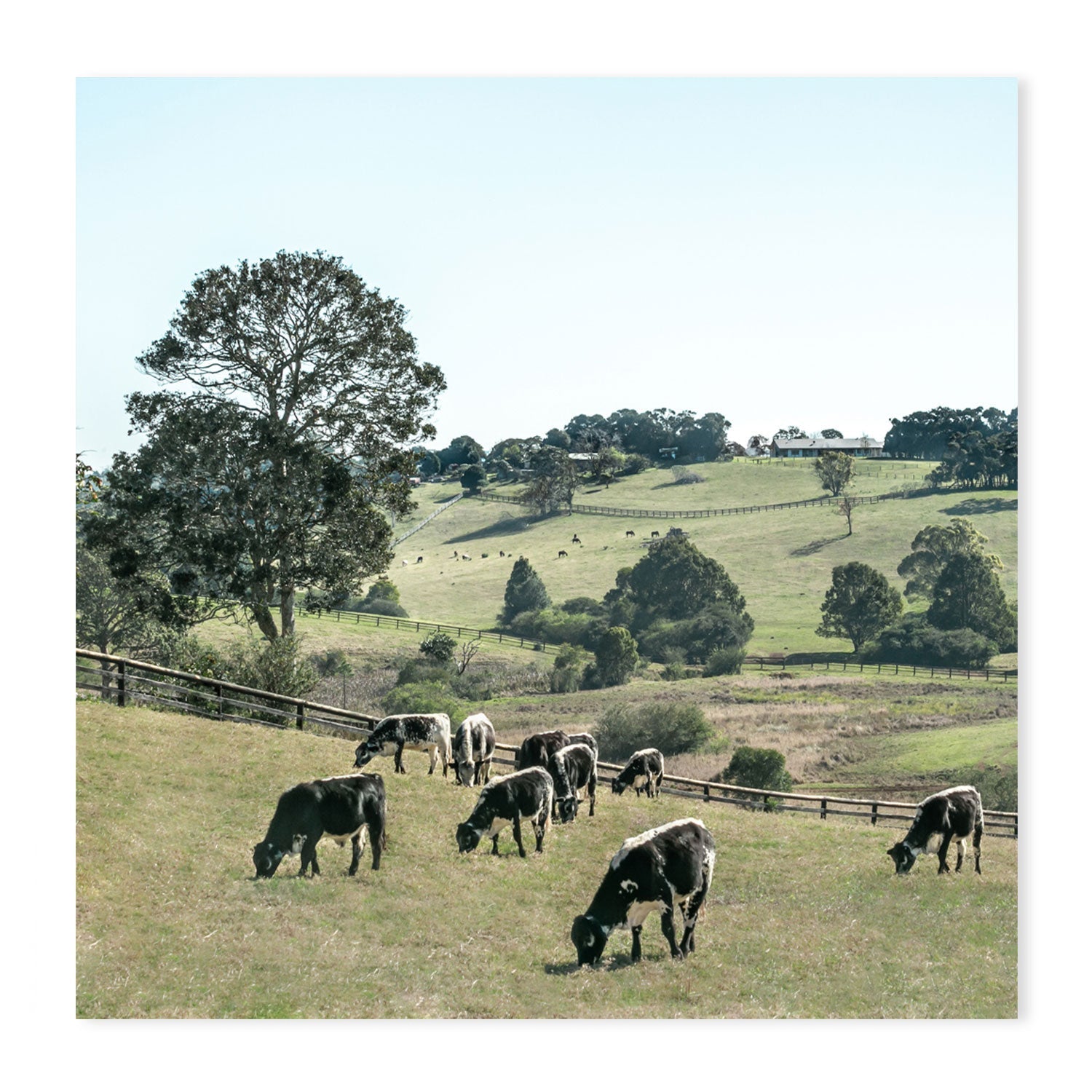 wall-art-print-canvas-poster-framed-Rolling Paddocks, Style B , By Tricia Brennan-GIOIA-WALL-ART