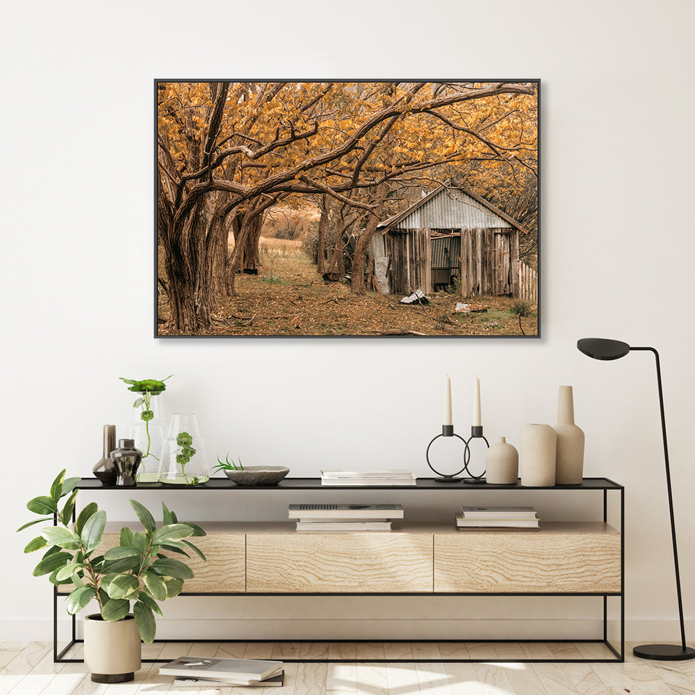 wall-art-print-canvas-poster-framed-Rustic Shed, Tenterfield, New South Wales , By Earth Sea & Me , By Earth Sea & Me-GIOIA-WALL-ART