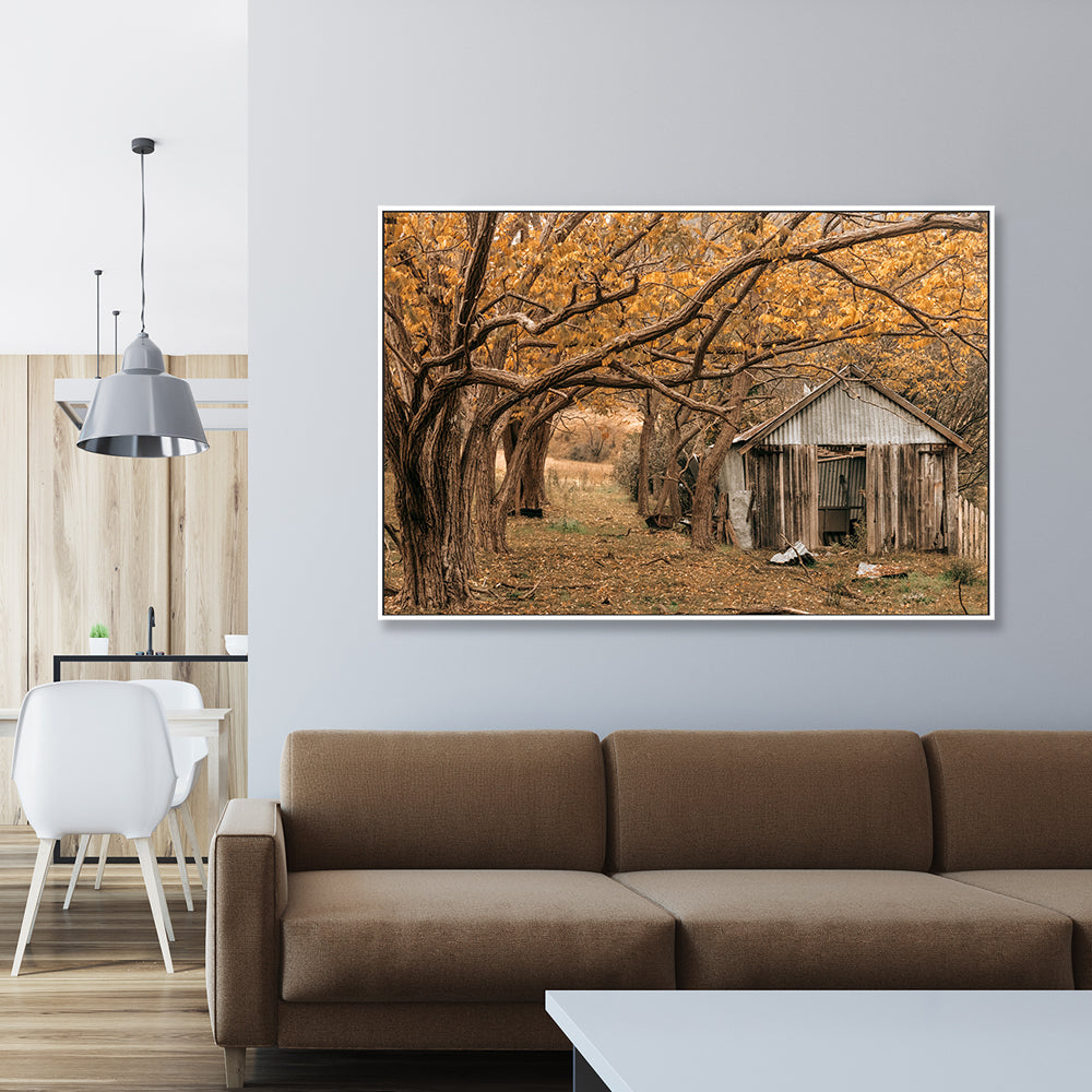 wall-art-print-canvas-poster-framed-Rustic Shed, Tenterfield, New South Wales , By Earth Sea & Me , By Earth Sea & Me-GIOIA-WALL-ART