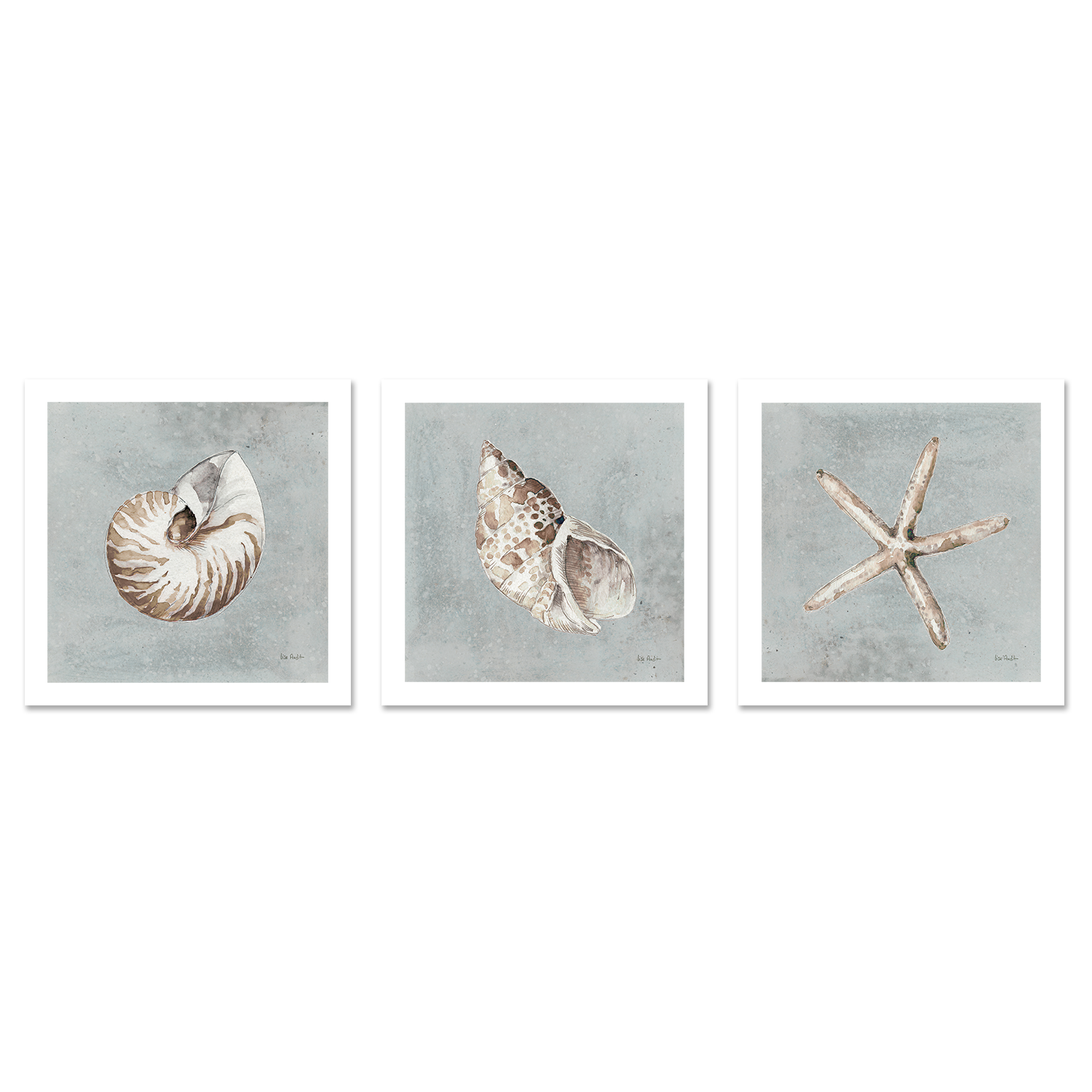 wall-art-print-canvas-poster-framed-Sand And Seashells, Style A, B & C, Set Of 3 , By Lisa Audit-GIOIA-WALL-ART