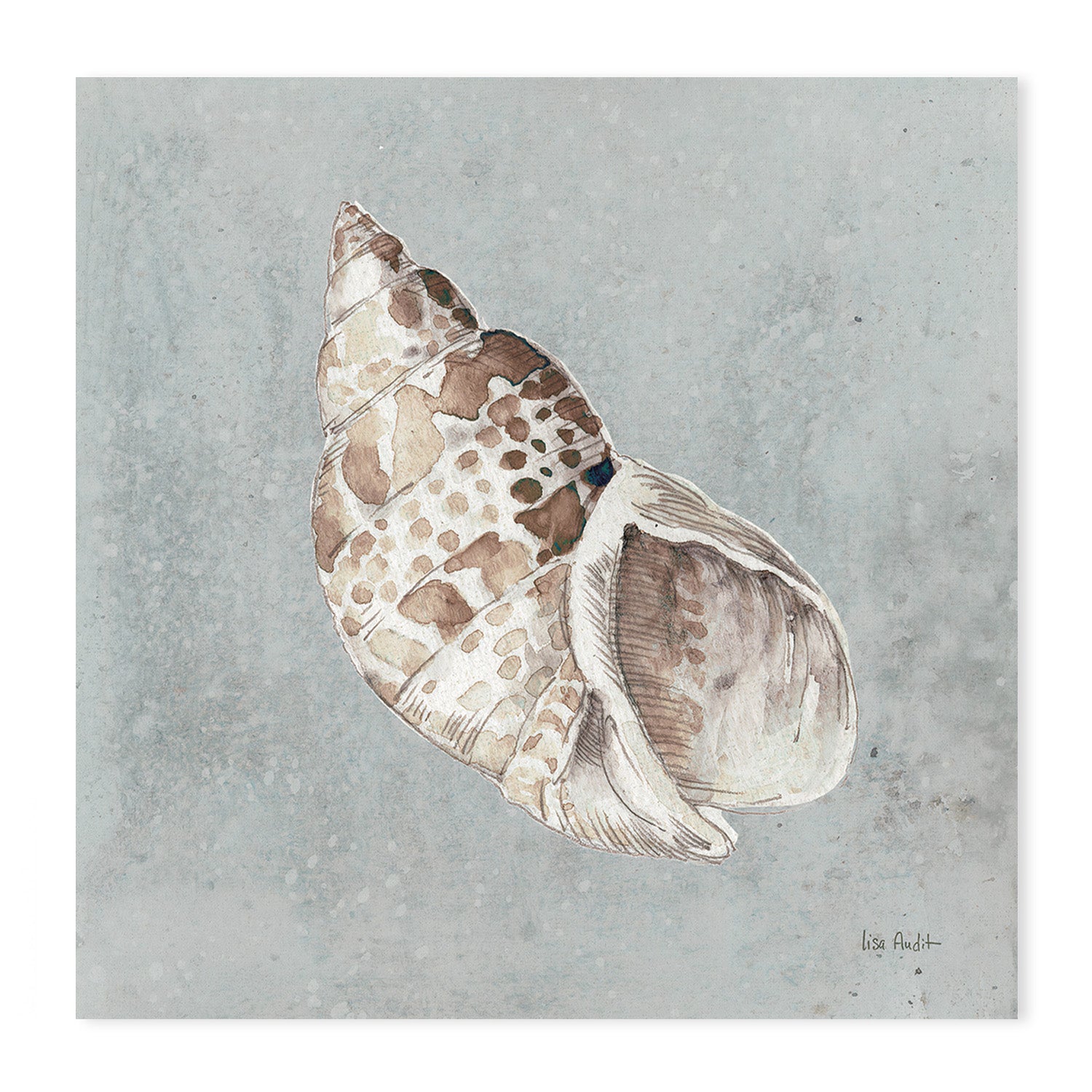 wall-art-print-canvas-poster-framed-Sand And Seashells, Style A, B & C, Set Of 3 , By Lisa Audit-GIOIA-WALL-ART