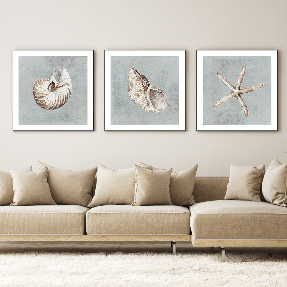 wall-art-print-canvas-poster-framed-Sand And Seashells, Style A, B & C, Set Of 3 , By Lisa Audit-GIOIA-WALL-ART