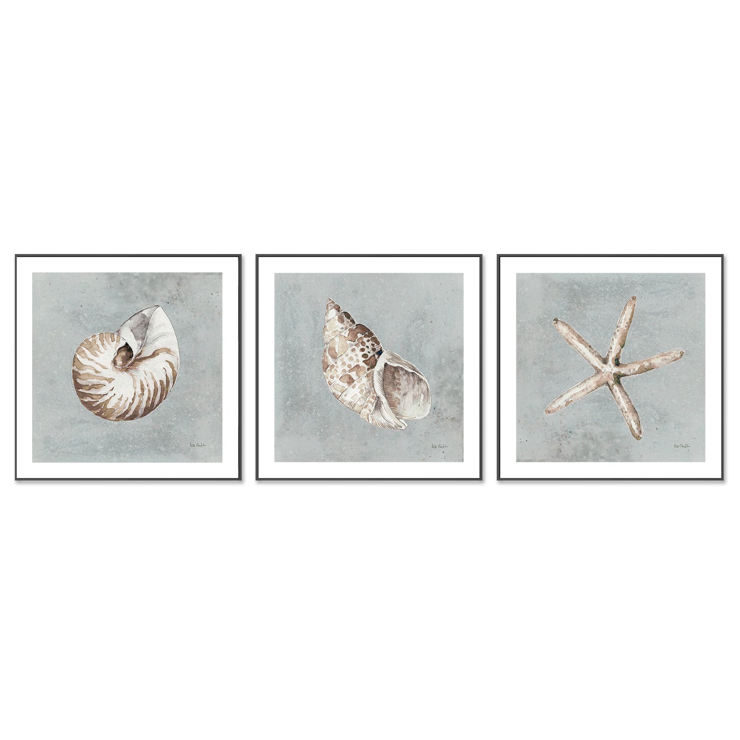 wall-art-print-canvas-poster-framed-Sand And Seashells, Style A, B & C, Set Of 3 , By Lisa Audit-GIOIA-WALL-ART