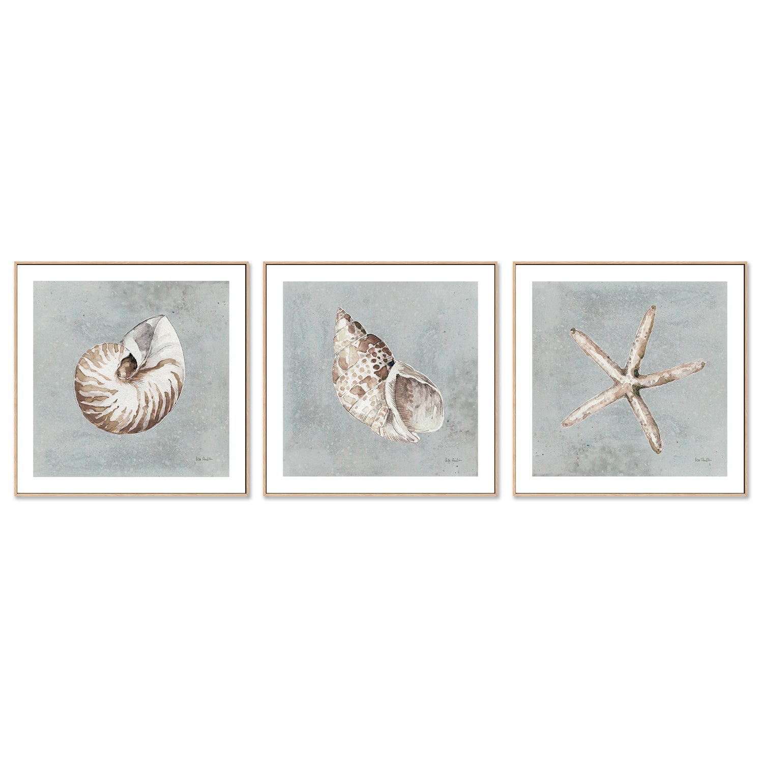 wall-art-print-canvas-poster-framed-Sand And Seashells, Style A, B & C, Set Of 3 , By Lisa Audit-GIOIA-WALL-ART