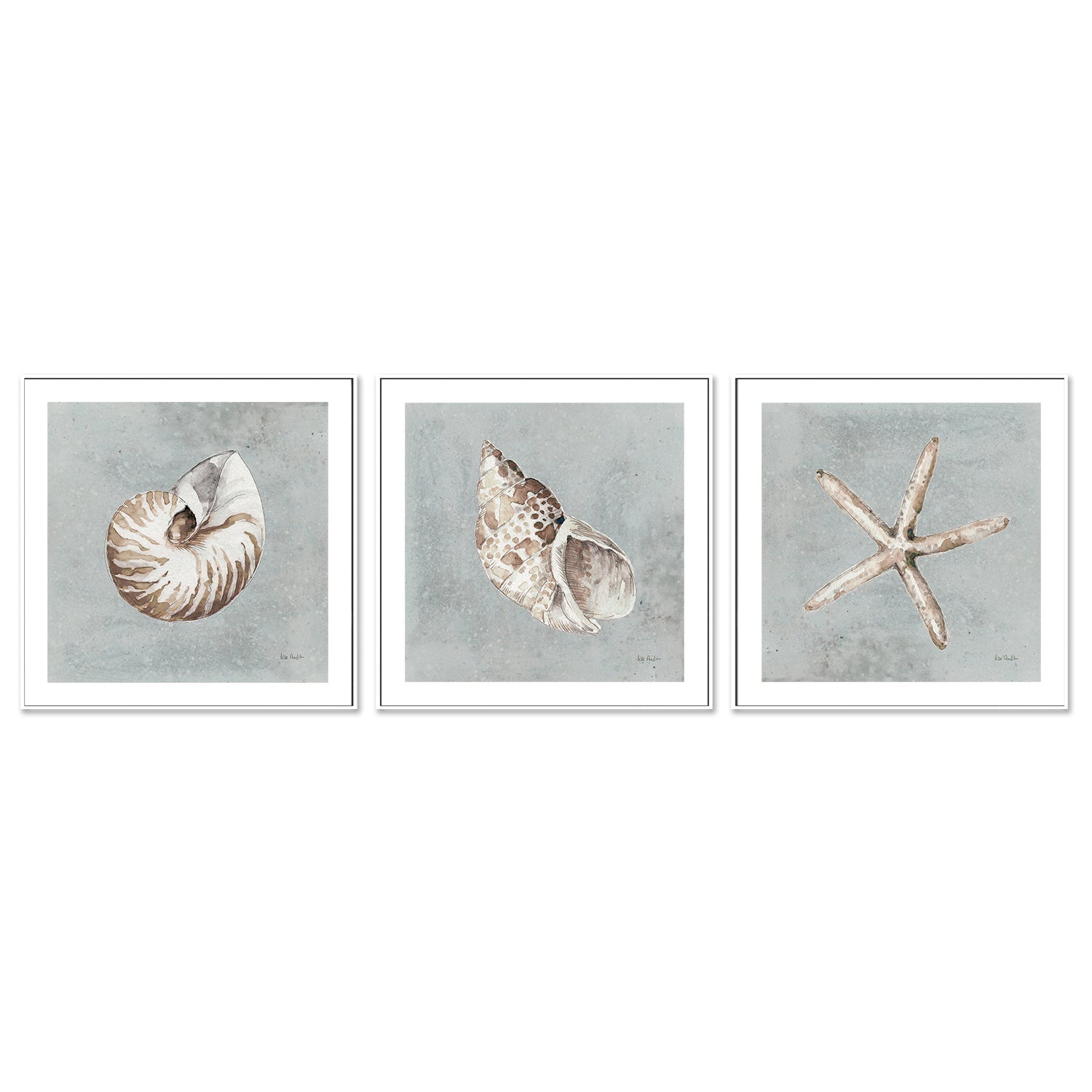 wall-art-print-canvas-poster-framed-Sand And Seashells, Style A, B & C, Set Of 3 , By Lisa Audit-GIOIA-WALL-ART