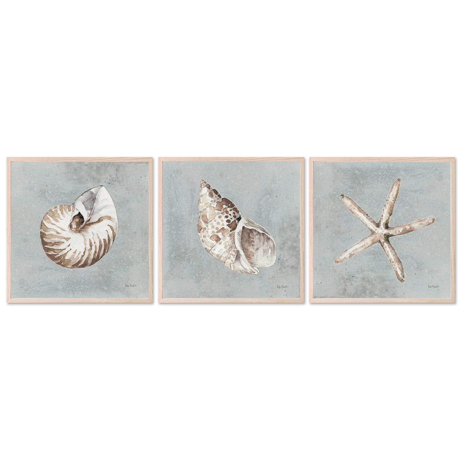 wall-art-print-canvas-poster-framed-Sand And Seashells, Style A, B & C, Set Of 3 , By Lisa Audit-GIOIA-WALL-ART