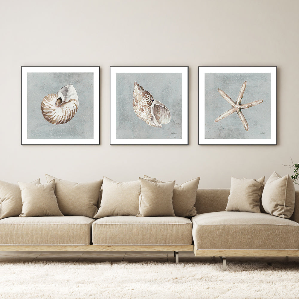 wall-art-print-canvas-poster-framed-Sand And Seashells, Style A, B & C, Set Of 3 , By Lisa Audit-GIOIA-WALL-ART