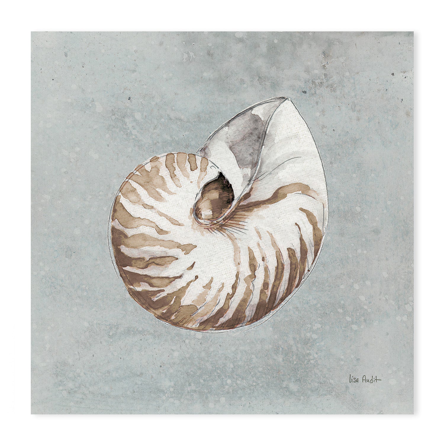 wall-art-print-canvas-poster-framed-Sand And Seashells, Style A, B & C, Set Of 3 , By Lisa Audit-GIOIA-WALL-ART