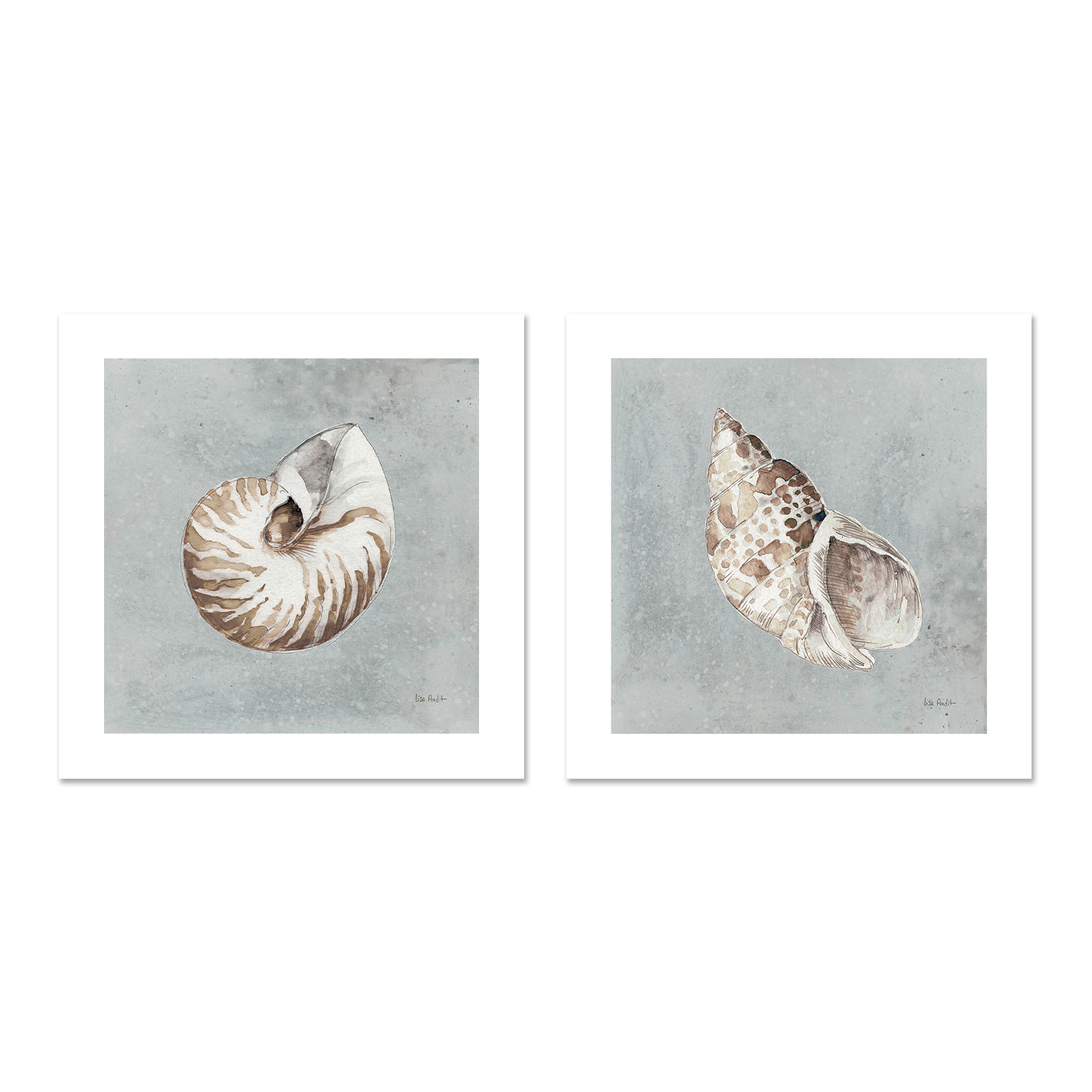 wall-art-print-canvas-poster-framed-Sand And Seashells, Style A & B, Set Of 2 , By Lisa Audit-GIOIA-WALL-ART