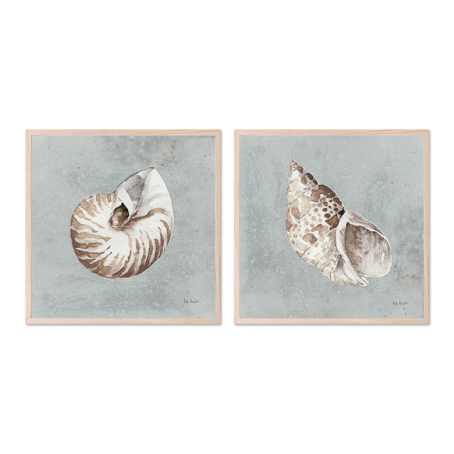 wall-art-print-canvas-poster-framed-Sand And Seashells, Style A & B, Set Of 2 , By Lisa Audit-GIOIA-WALL-ART