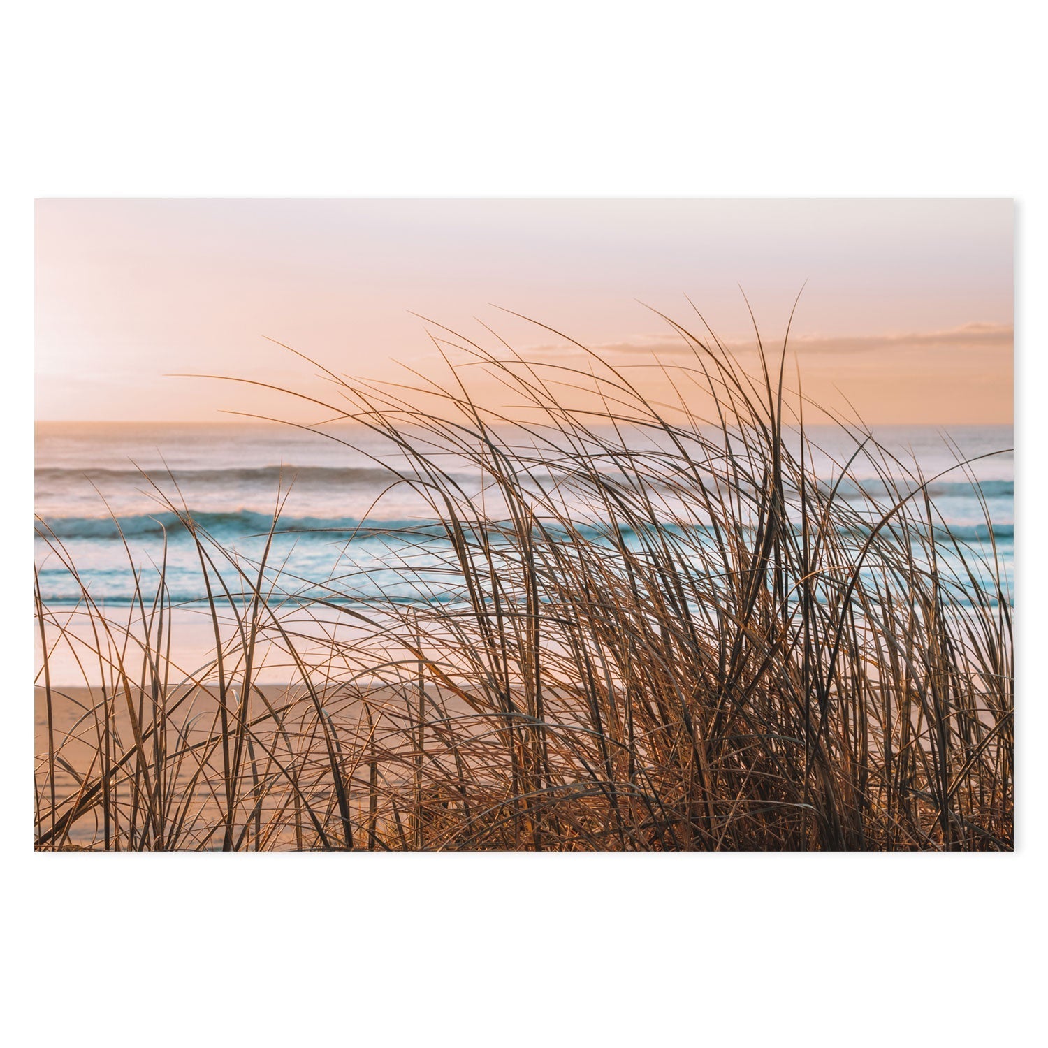 wall-art-print-canvas-poster-framed-Sea Grass , By Kellie Morris-GIOIA-WALL-ART