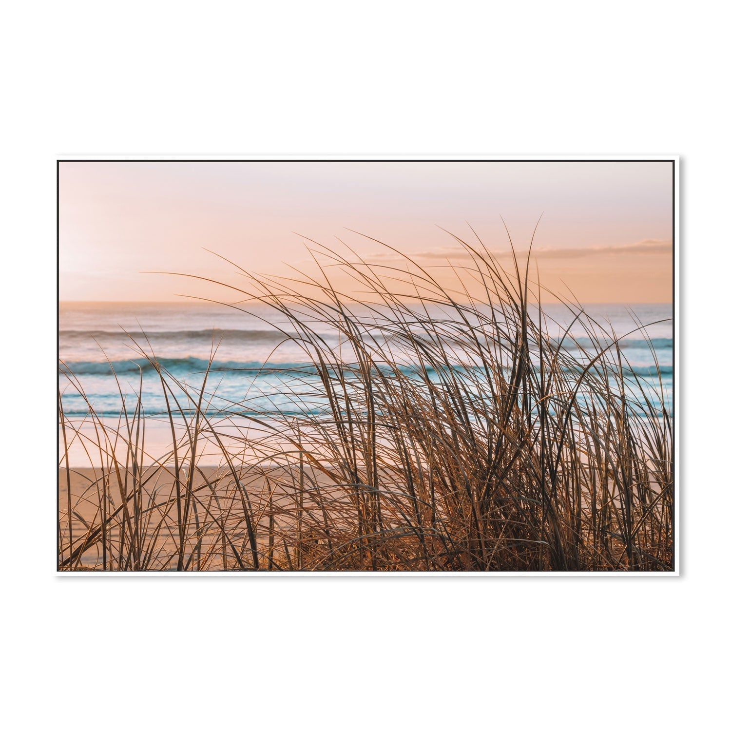 wall-art-print-canvas-poster-framed-Sea Grass , By Kellie Morris-GIOIA-WALL-ART