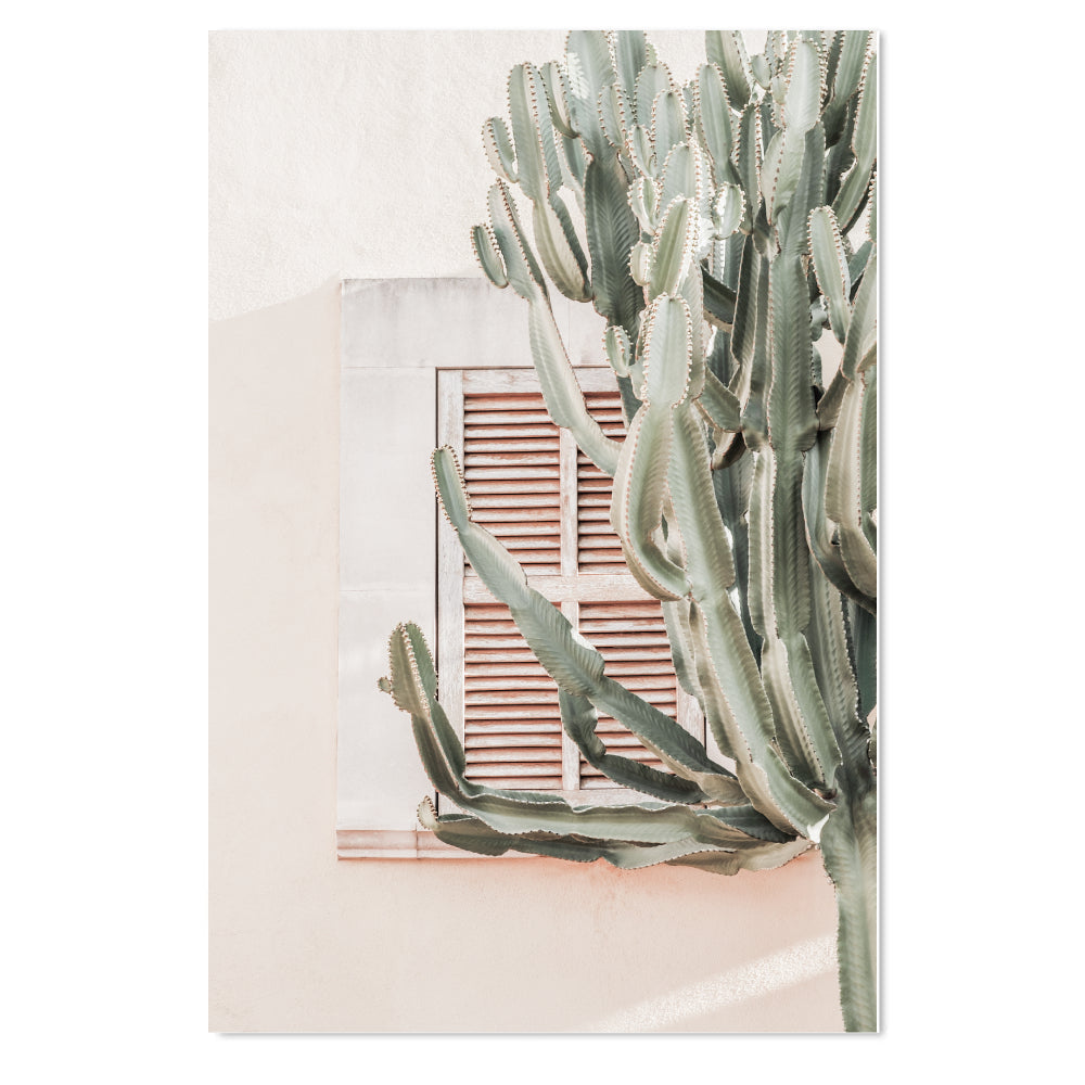 wall-art-print-canvas-poster-framed-Shadows Of A Palm And Cactus Plant, Set Of 2-by-Gioia Wall Art-Gioia Wall Art