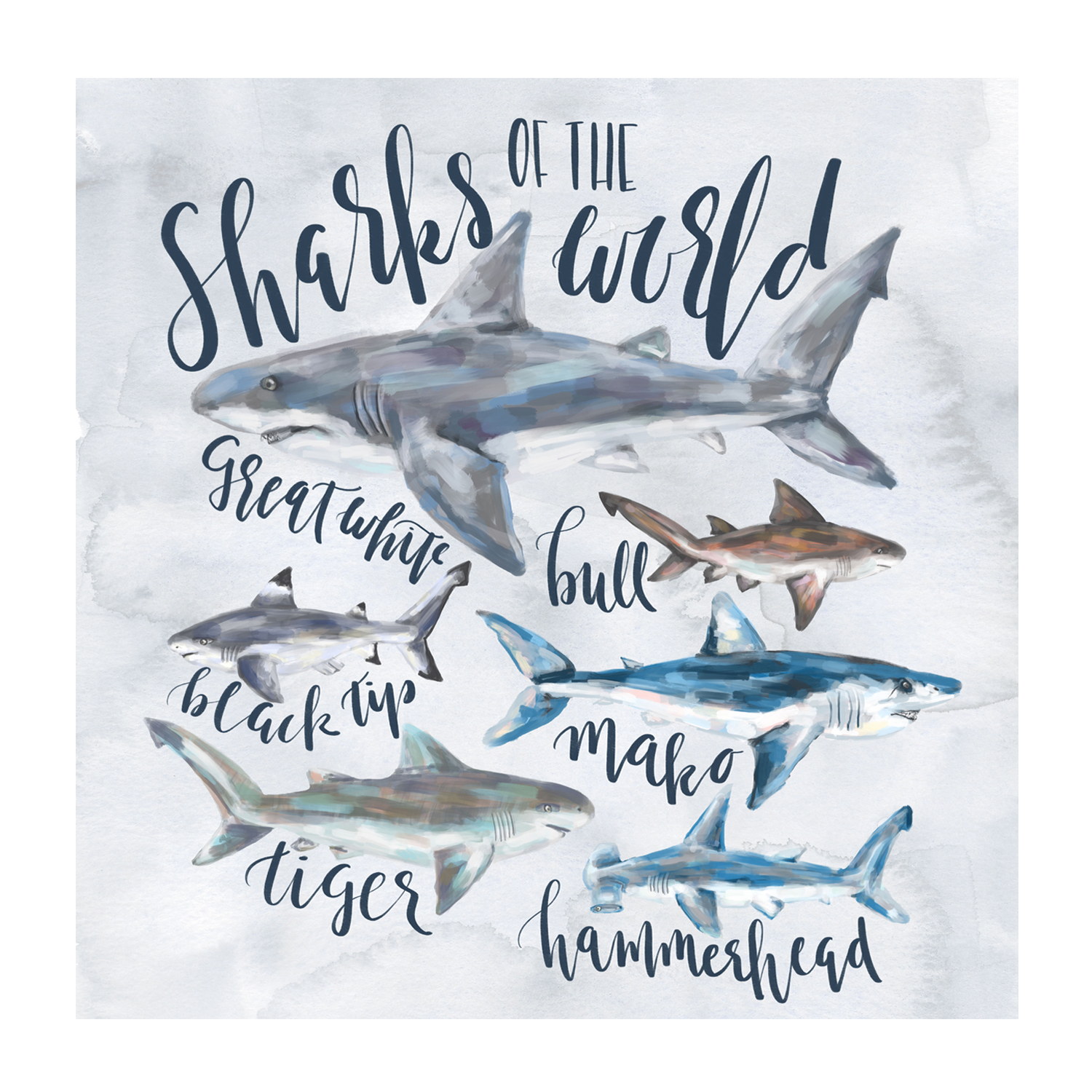 wall-art-print-canvas-poster-framed-Sharks Of The world , By Emily Wood-1