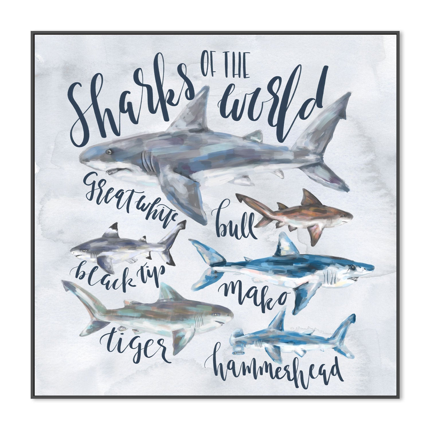 wall-art-print-canvas-poster-framed-Sharks Of The world , By Emily Wood-3