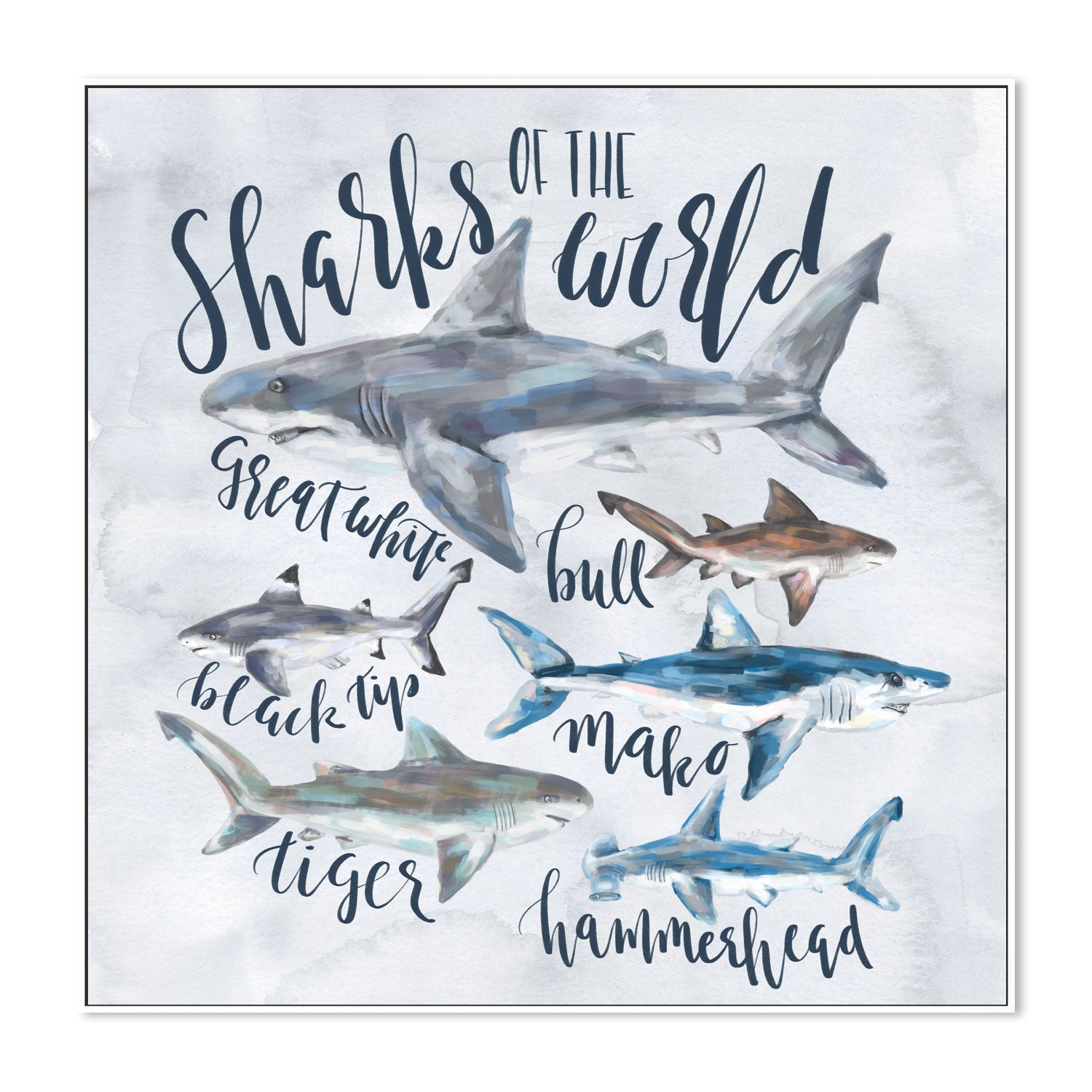 wall-art-print-canvas-poster-framed-Sharks Of The world , By Emily Wood-5