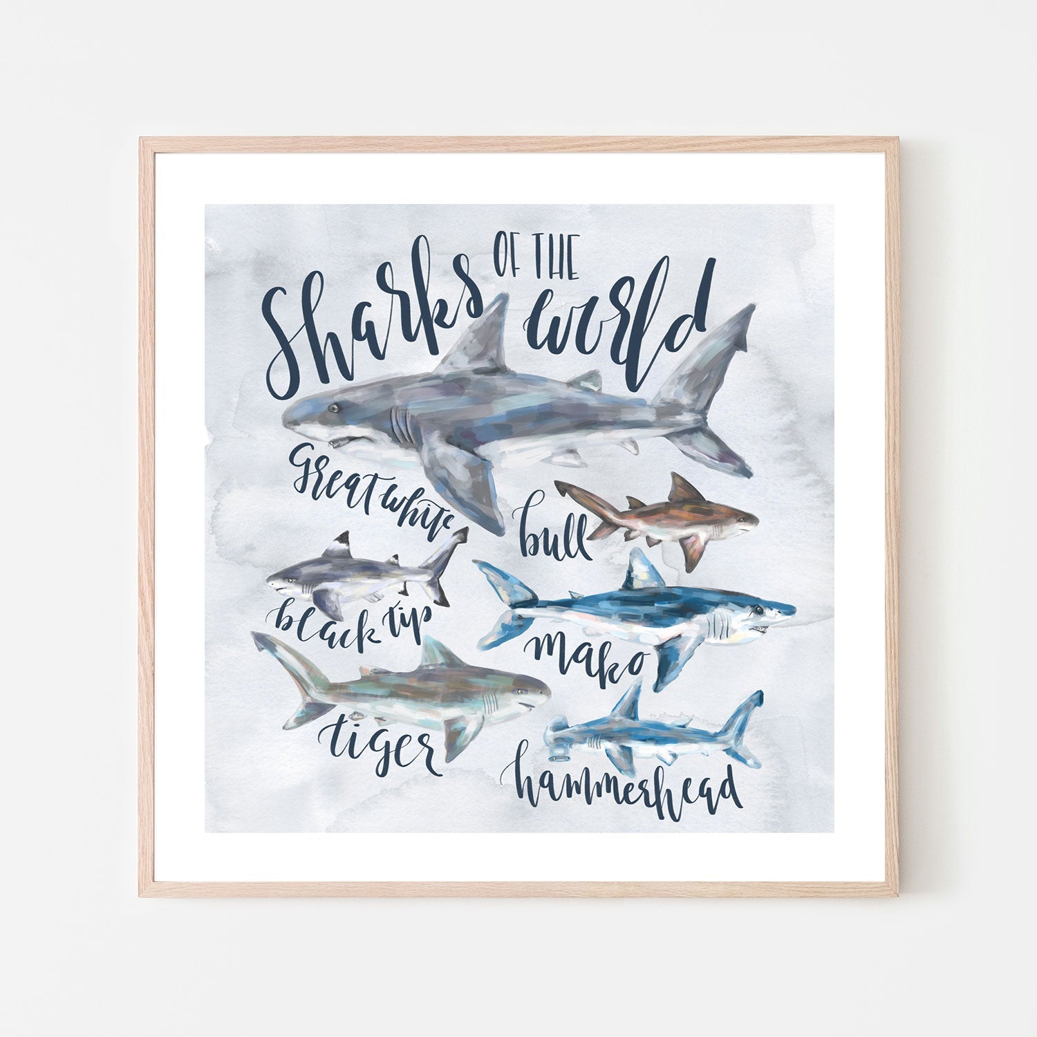 wall-art-print-canvas-poster-framed-Sharks Of The world , By Emily Wood-6