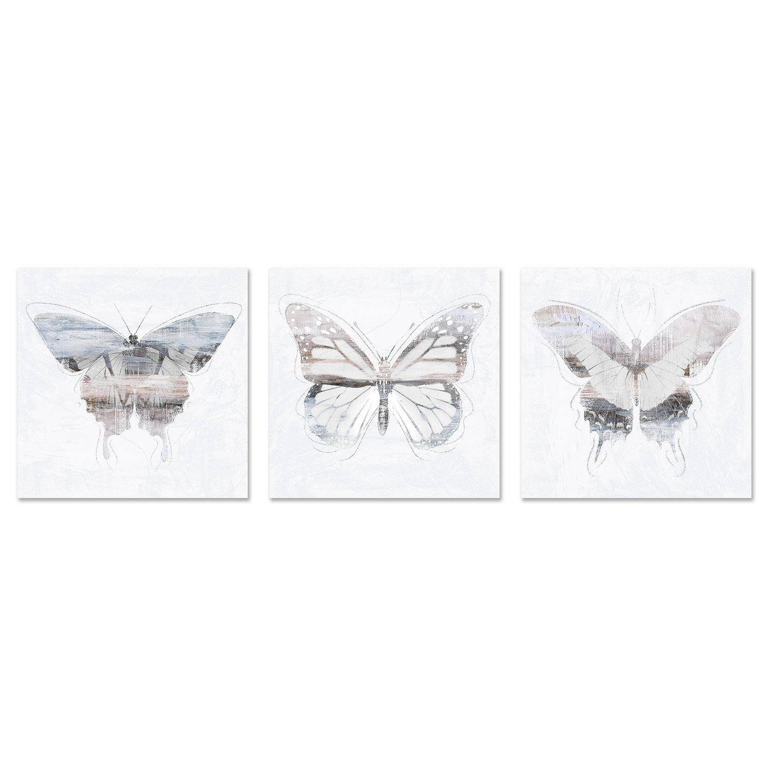 wall-art-print-canvas-poster-framed-Silver Butterfly, Style A, B & C, Set Of 3 , By Nina Blue-1