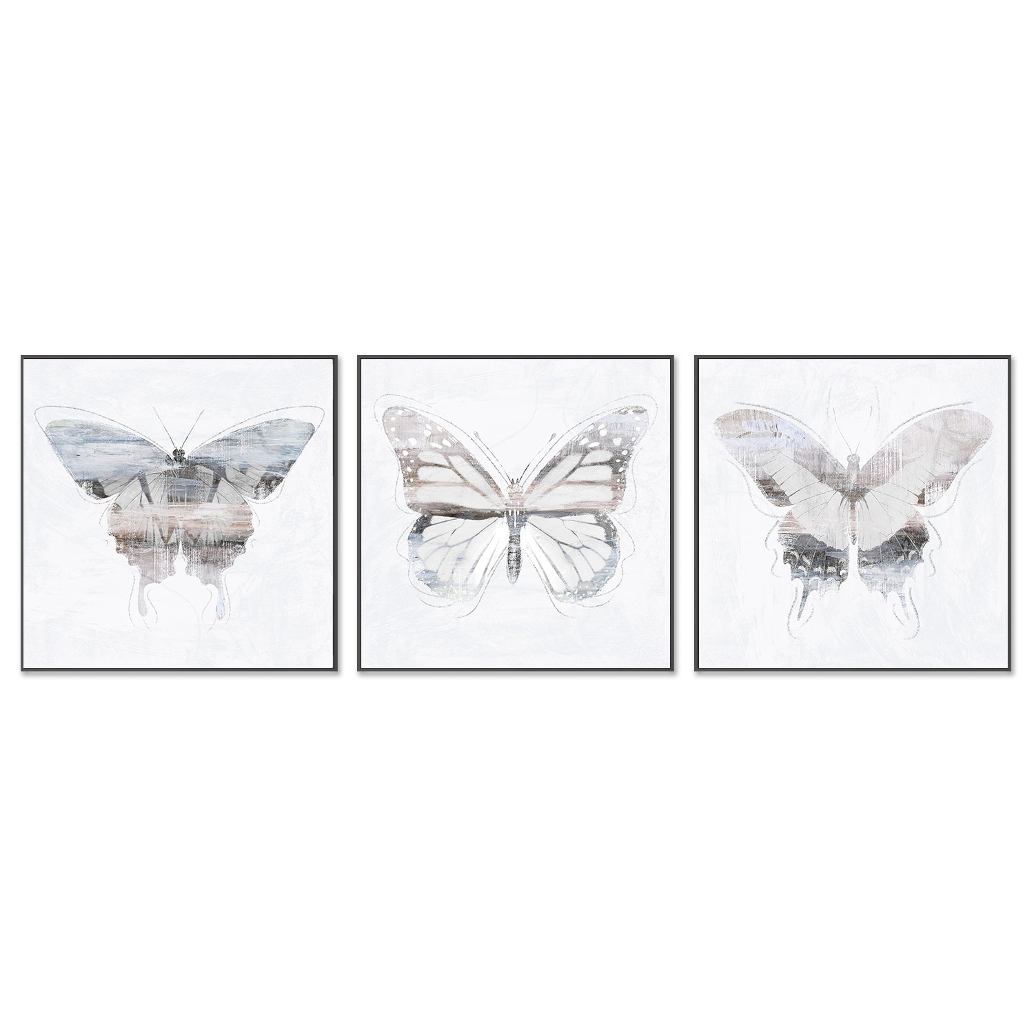 wall-art-print-canvas-poster-framed-Silver Butterfly, Style A, B & C, Set Of 3 , By Nina Blue-3