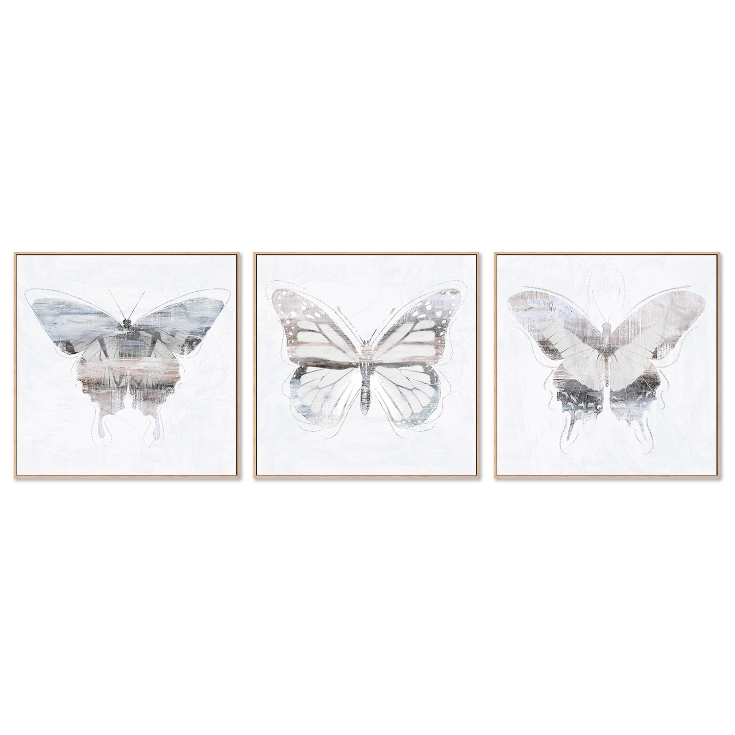 wall-art-print-canvas-poster-framed-Silver Butterfly, Style A, B & C, Set Of 3 , By Nina Blue-4