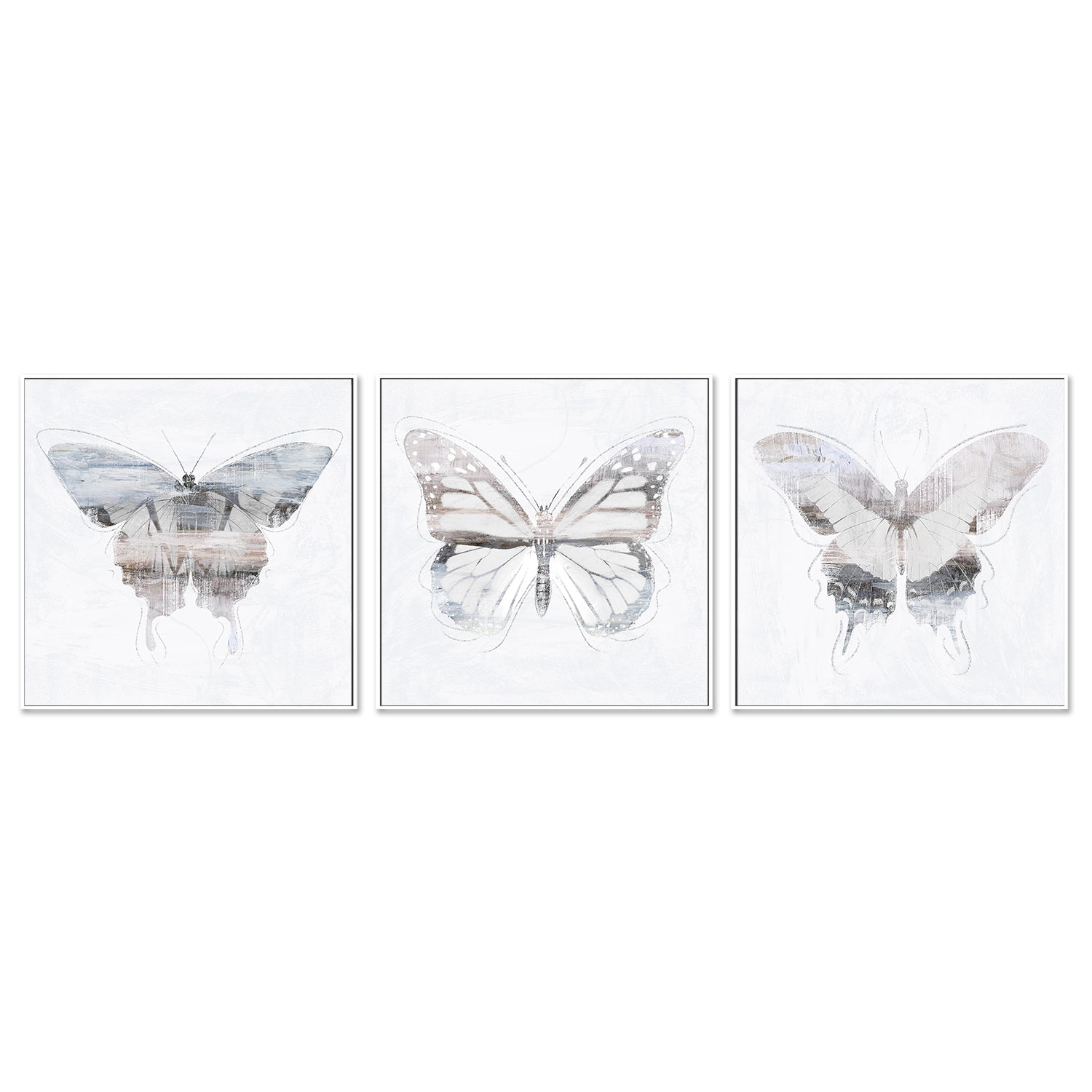 wall-art-print-canvas-poster-framed-Silver Butterfly, Style A, B & C, Set Of 3 , By Nina Blue-5