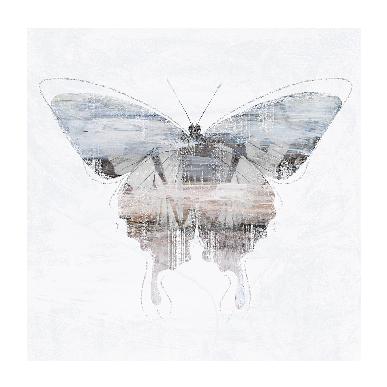 wall-art-print-canvas-poster-framed-Silver Butterfly, Style A, B & C, Set Of 3 , By Nina Blue-7