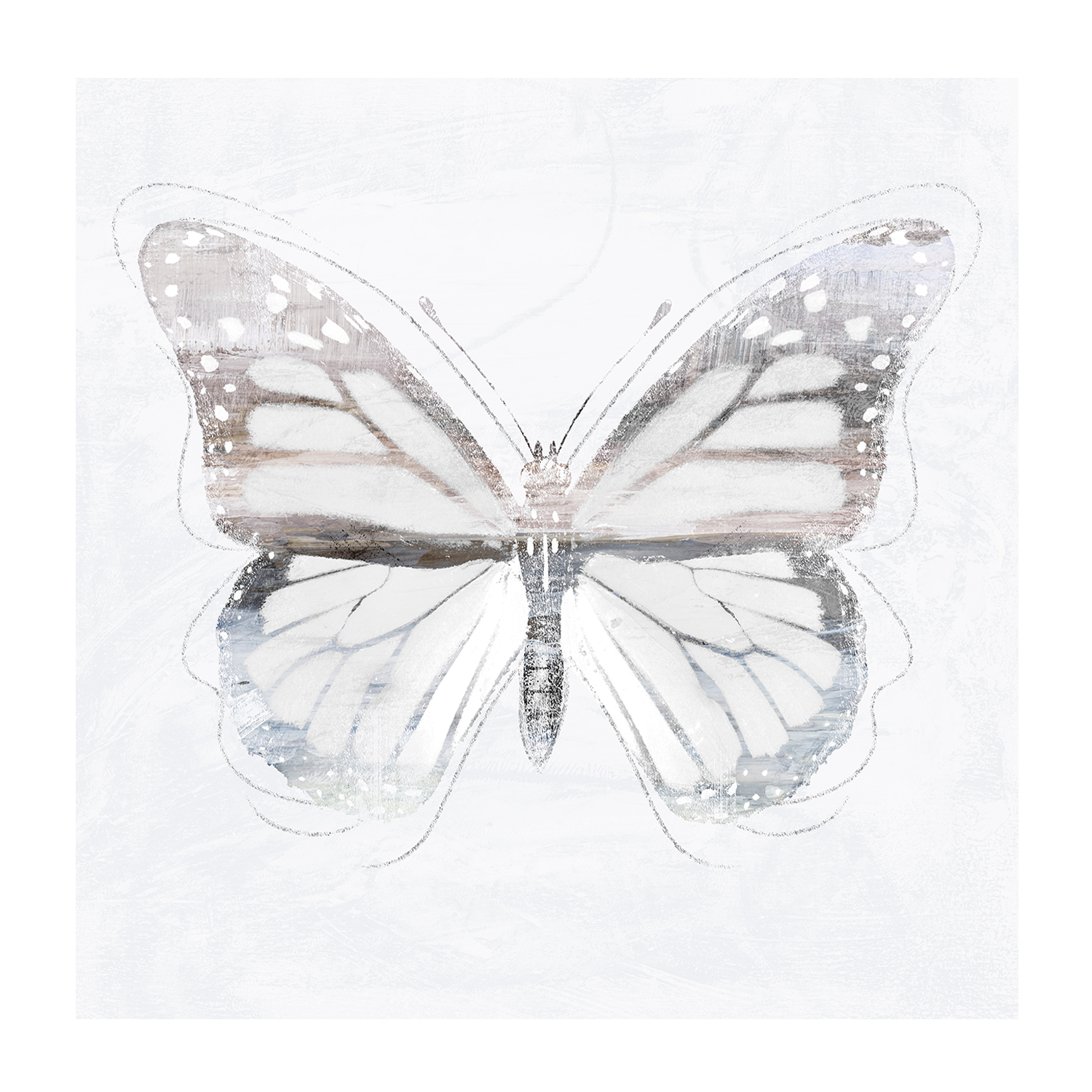 wall-art-print-canvas-poster-framed-Silver Butterfly, Style A, B & C, Set Of 3 , By Nina Blue-8