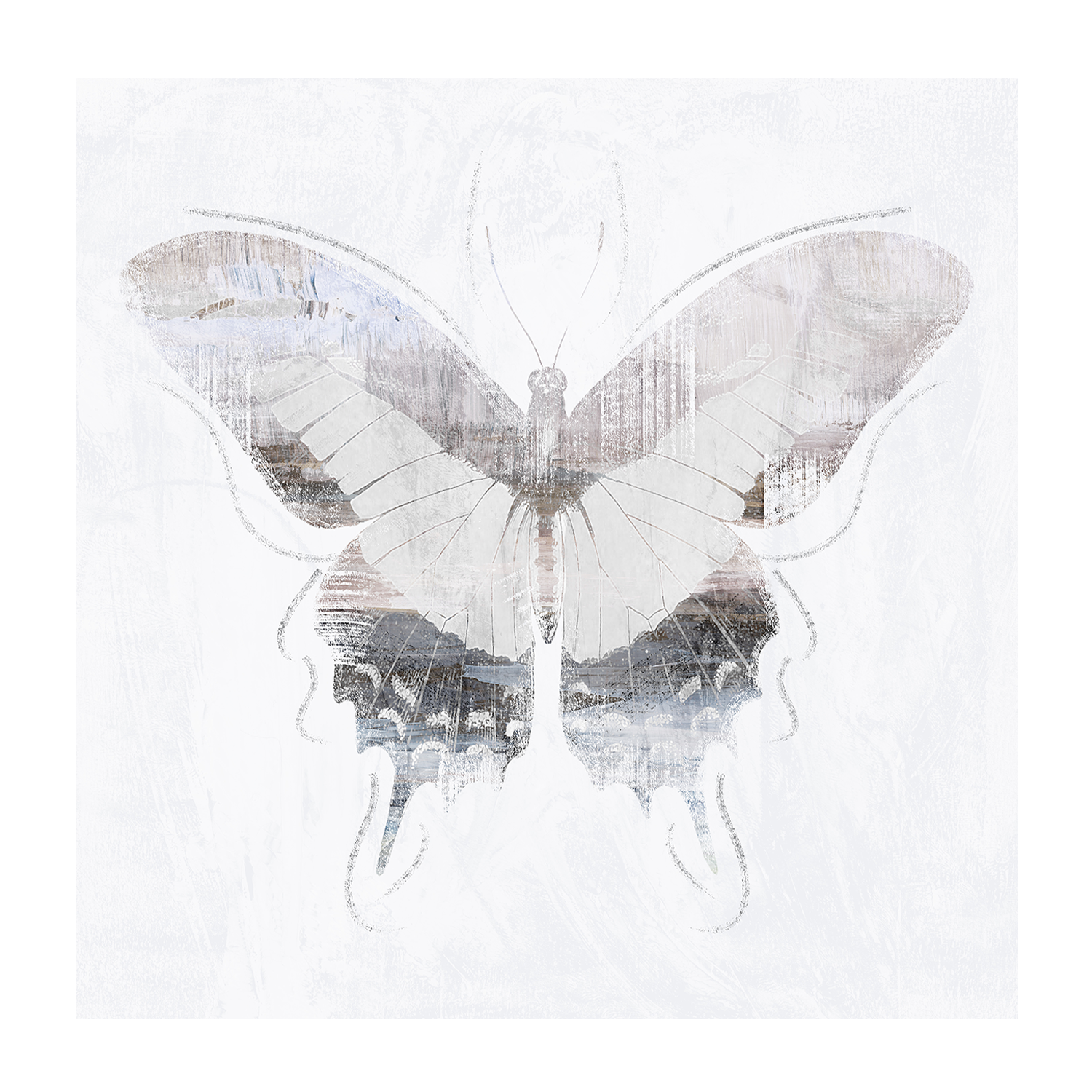 wall-art-print-canvas-poster-framed-Silver Butterfly, Style A, B & C, Set Of 3 , By Nina Blue-9