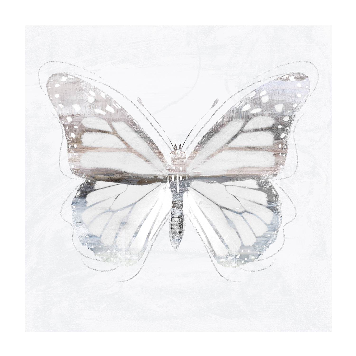 wall-art-print-canvas-poster-framed-Silver Butterfly, Style B , By Nina Blue-1