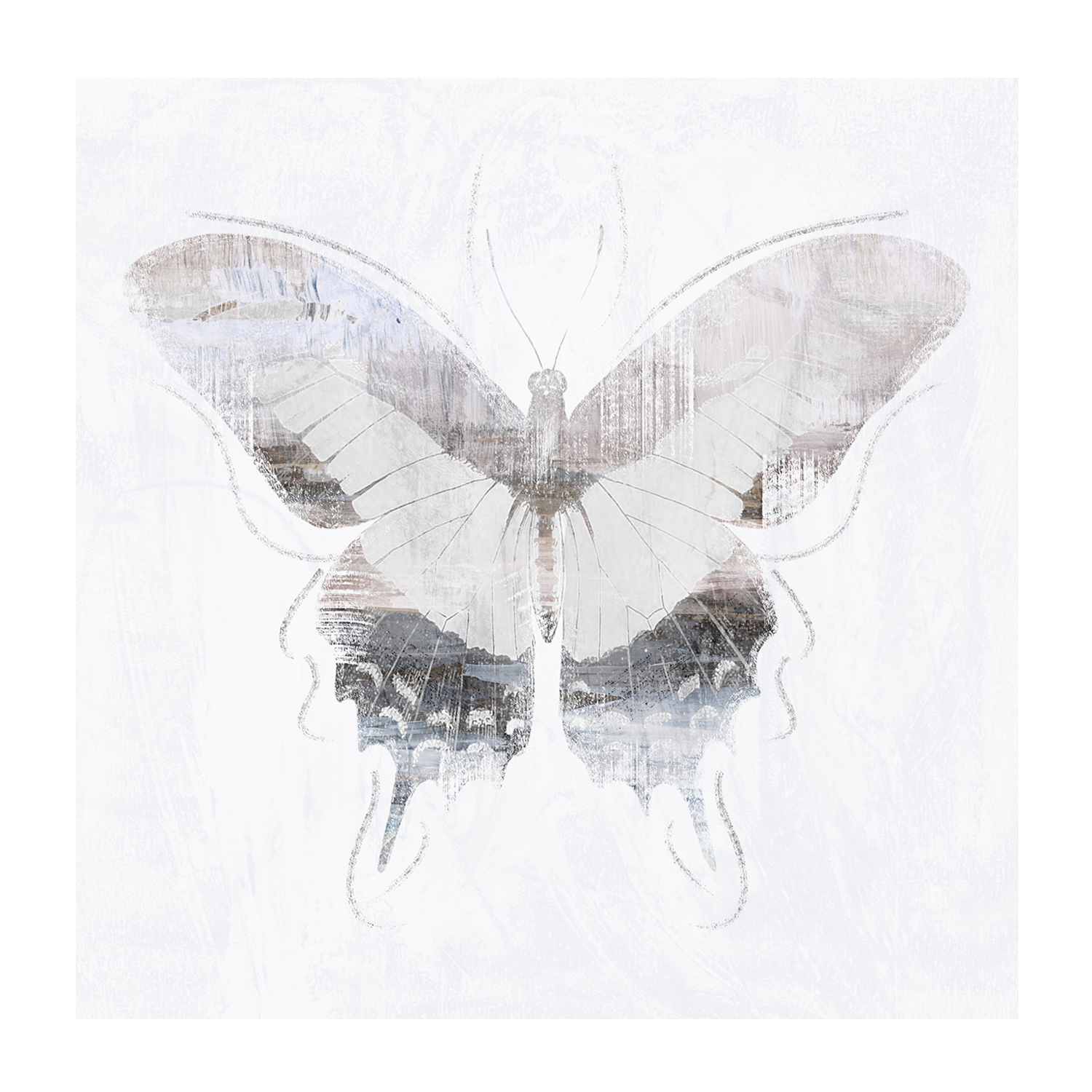 wall-art-print-canvas-poster-framed-Silver Butterfly, Style C , By Nina Blue-1