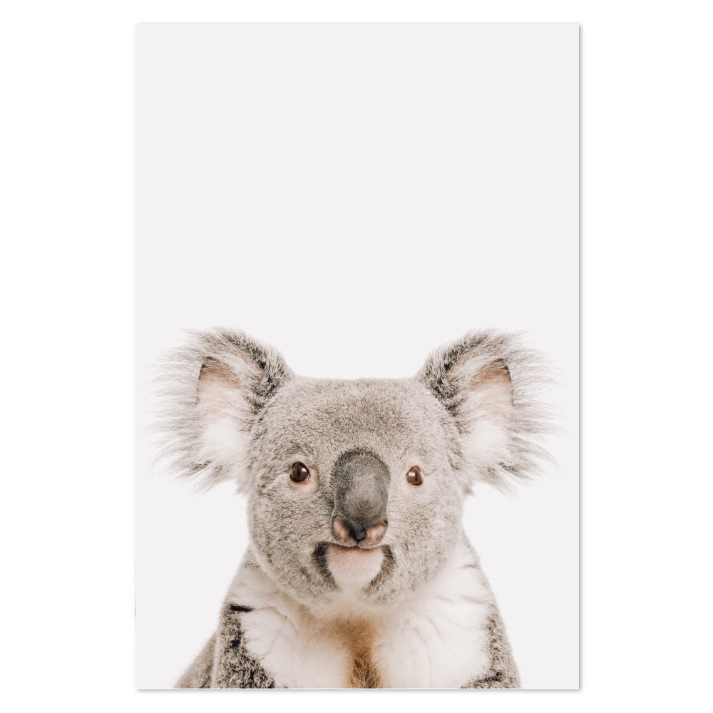 wall-art-print-canvas-poster-framed-Smiling Koala-by-Gioia Wall Art-Gioia Wall Art