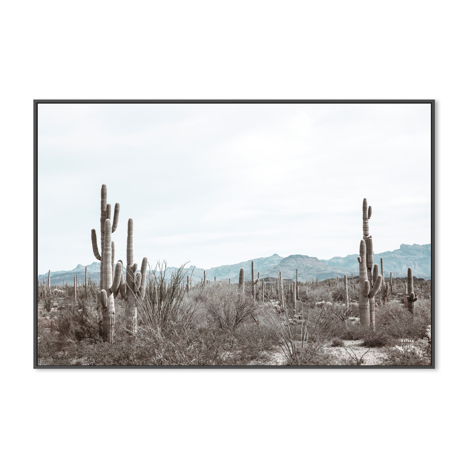 wall-art-print-canvas-poster-framed-Sonoran Wonderland , By Kellie Morris-3