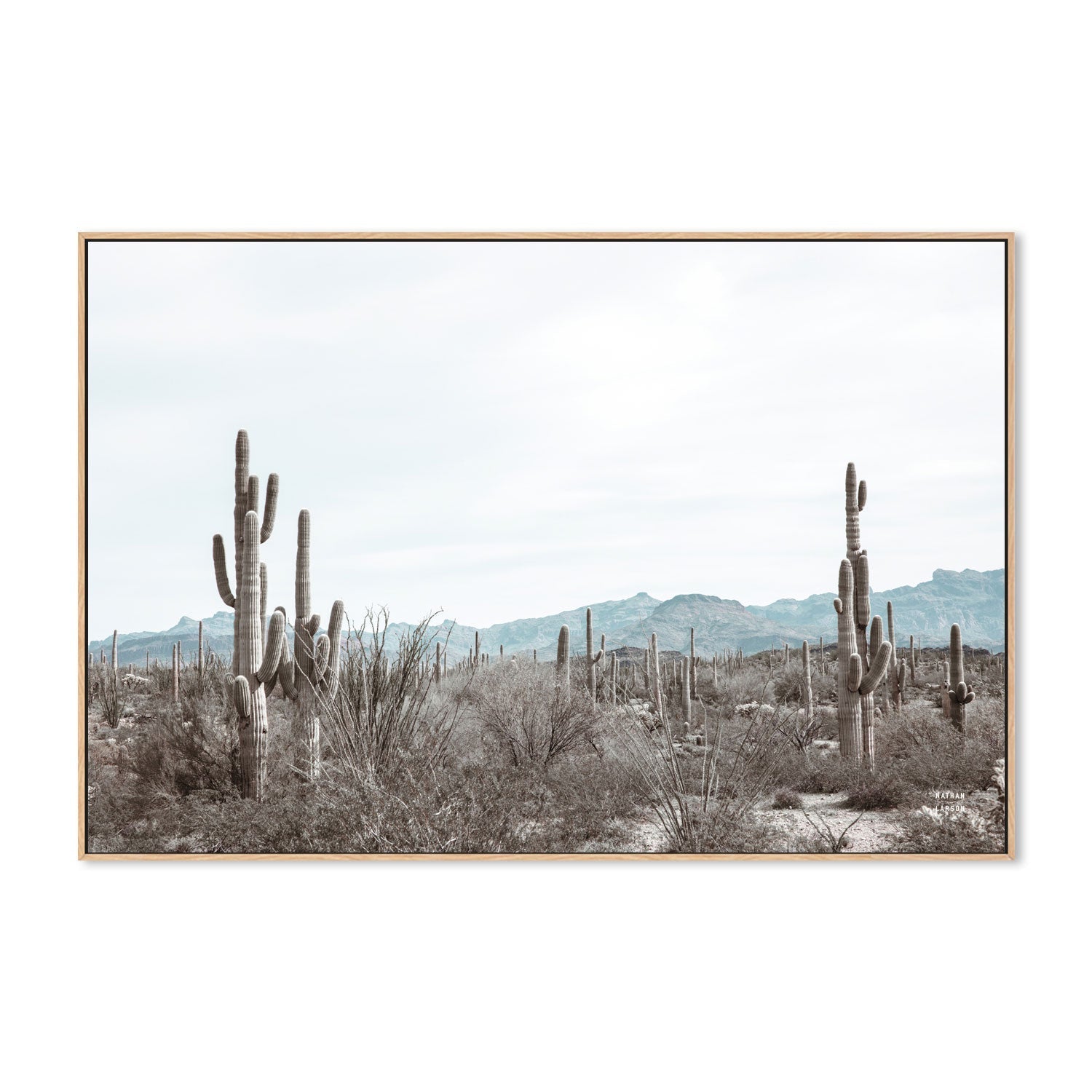 wall-art-print-canvas-poster-framed-Sonoran Wonderland , By Kellie Morris-4