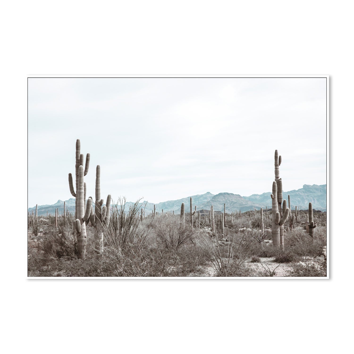 wall-art-print-canvas-poster-framed-Sonoran Wonderland , By Kellie Morris-5