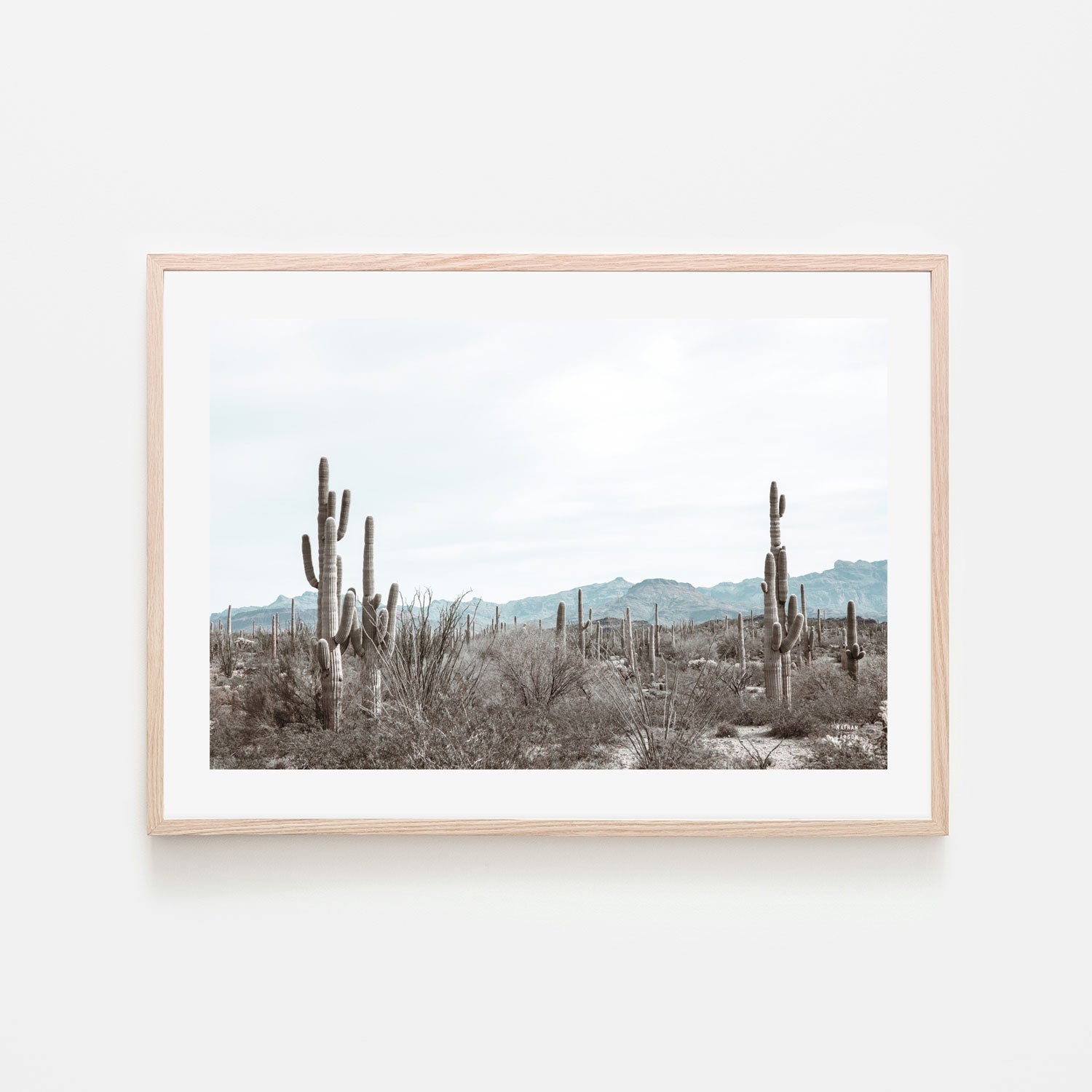 wall-art-print-canvas-poster-framed-Sonoran Wonderland , By Kellie Morris-6