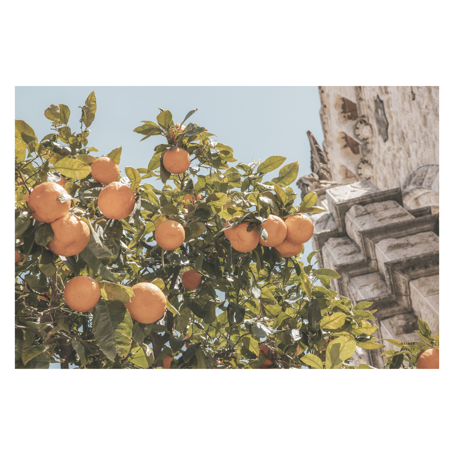 wall-art-print-canvas-poster-framed-Spanish Islands Oranges , By Nathan Larson-1