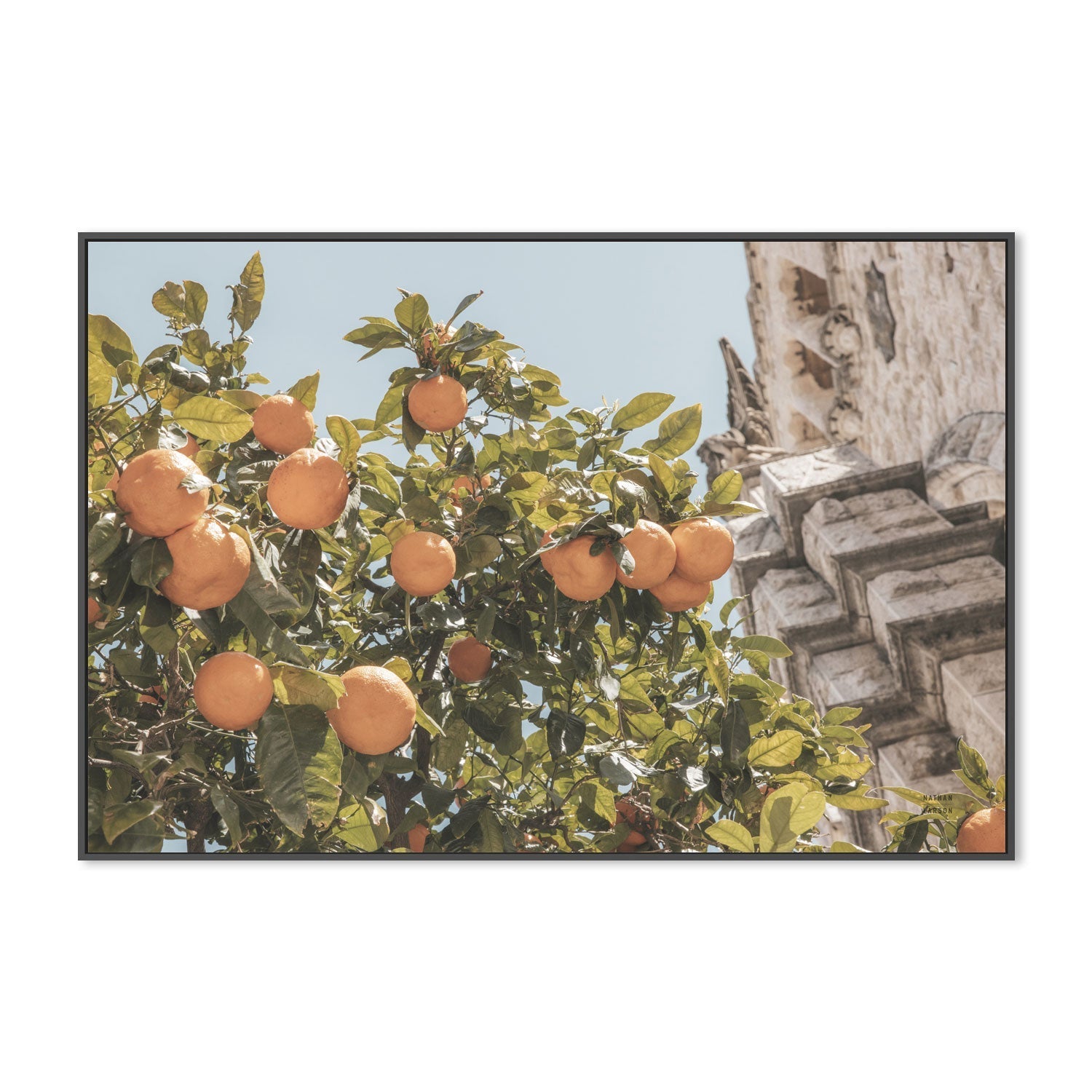 wall-art-print-canvas-poster-framed-Spanish Islands Oranges , By Nathan Larson-3