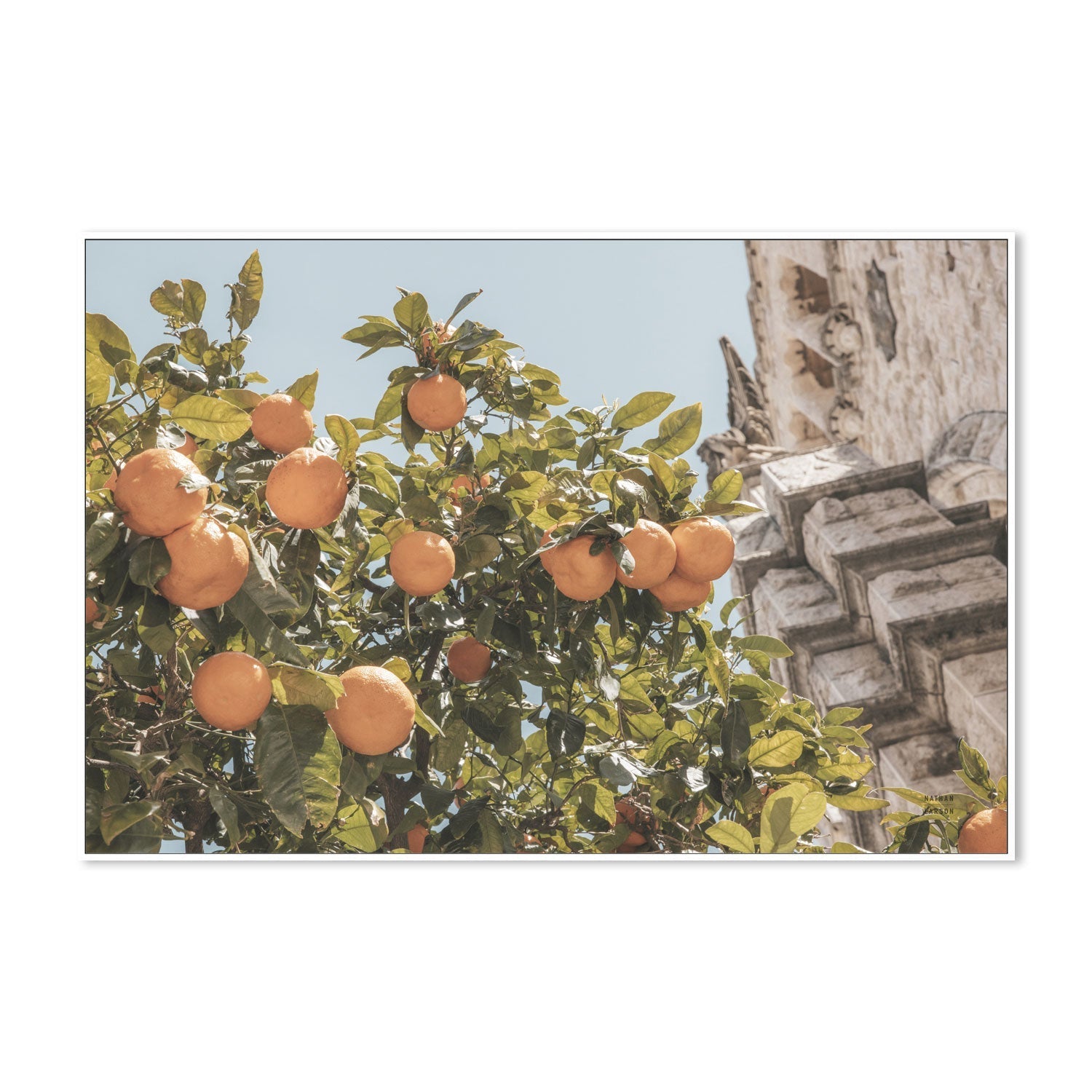 wall-art-print-canvas-poster-framed-Spanish Islands Oranges , By Nathan Larson-5