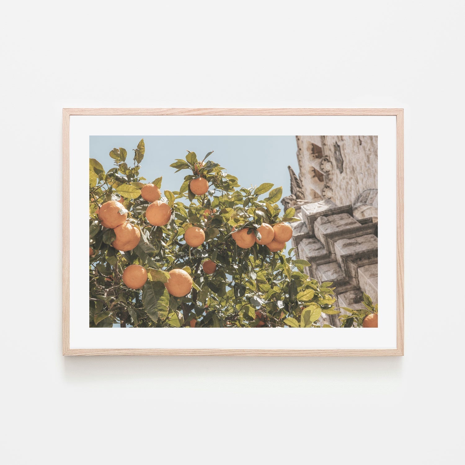 wall-art-print-canvas-poster-framed-Spanish Islands Oranges , By Nathan Larson-6