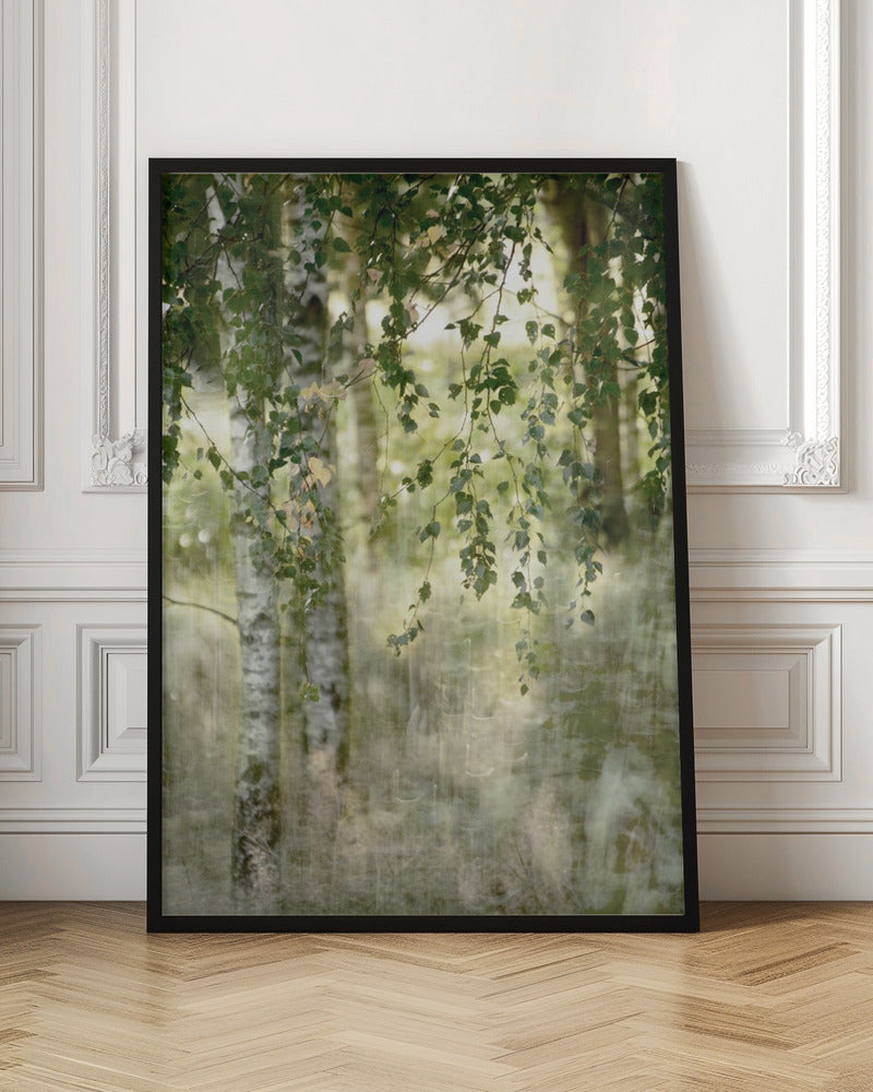 wall-art-print-canvas-poster-framed-Spring birch , By Christina Sillen-3