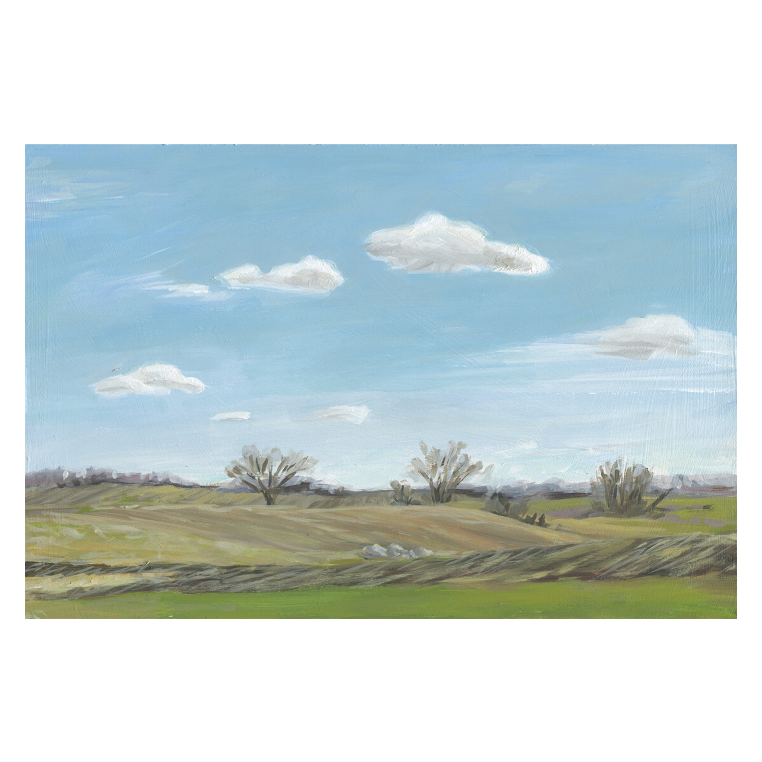 wall-art-print-canvas-poster-framed-Spring Fields , By Carrie Arnold-1