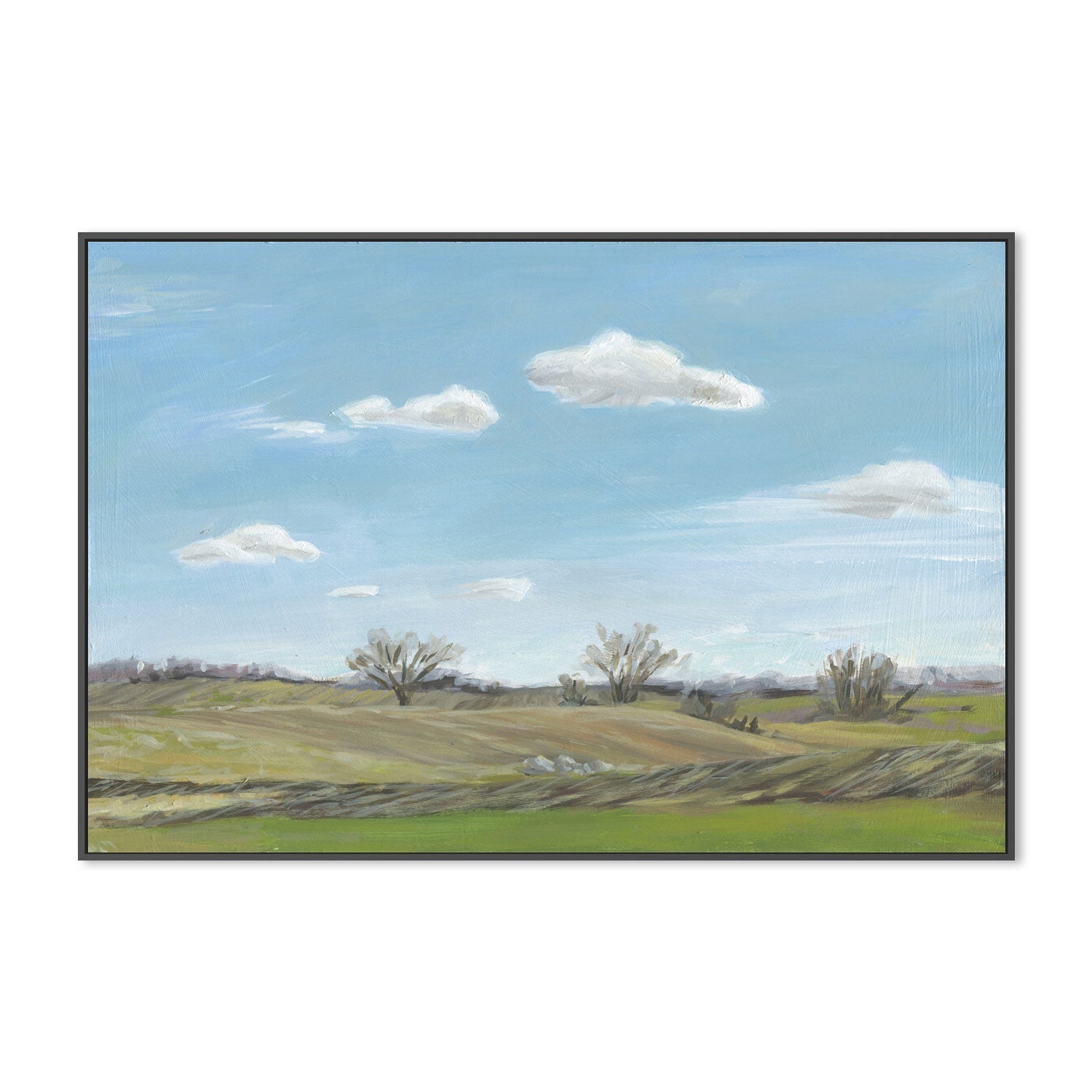 wall-art-print-canvas-poster-framed-Spring Fields , By Carrie Arnold-3