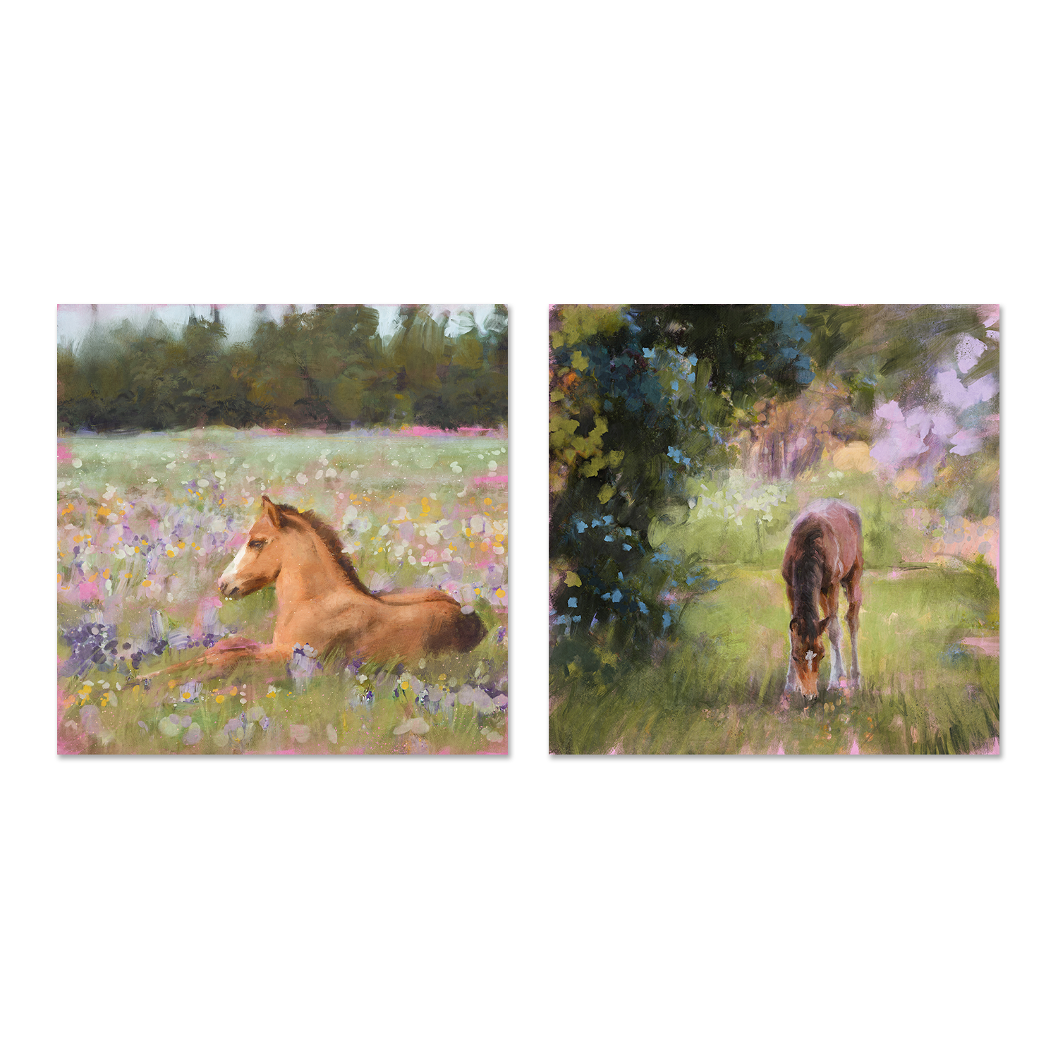 wall-art-print-canvas-poster-framed-Spring Time Foal, Style A & B, Set Of 2 , By Nina Blue-1