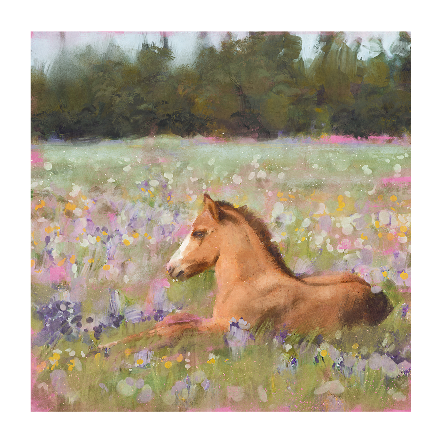 wall-art-print-canvas-poster-framed-Spring Time Foal, Style A & B, Set Of 2 , By Nina Blue-7