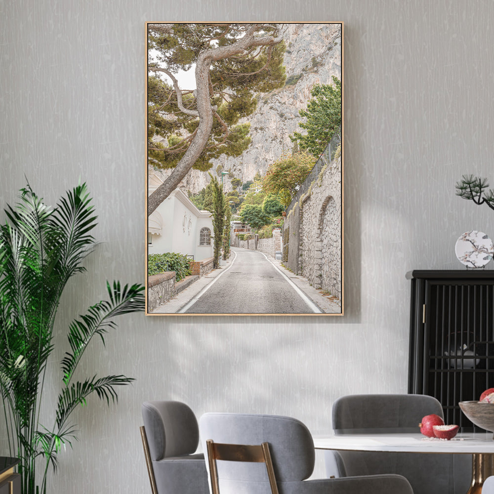 wall-art-print-canvas-poster-framed-Streets of Capri-2